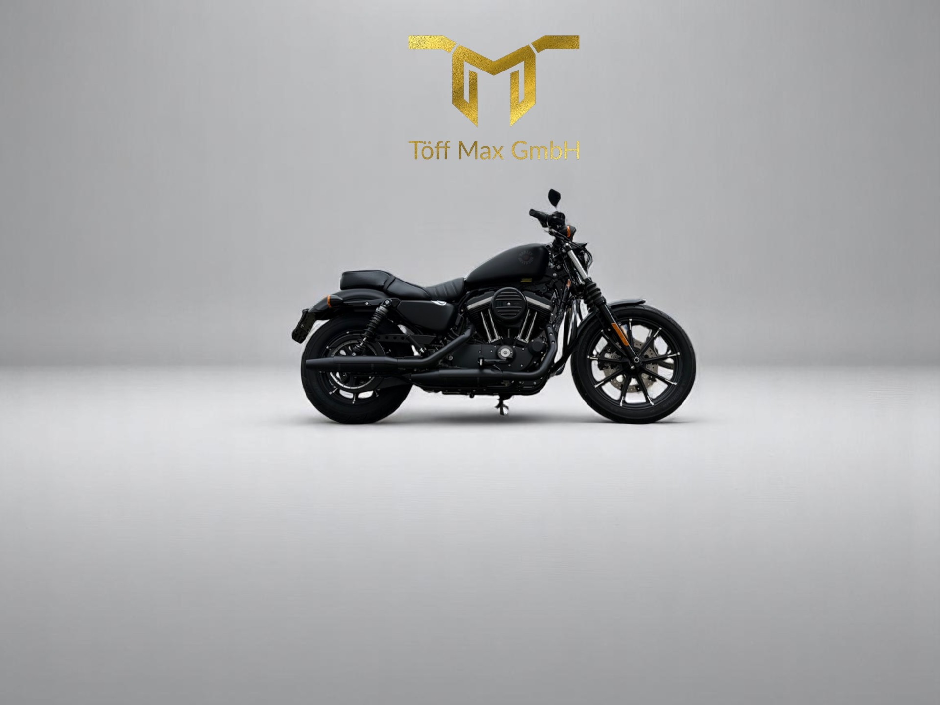 HARLEY-DAVIDSON XL 883 N Sportster Iron ABS