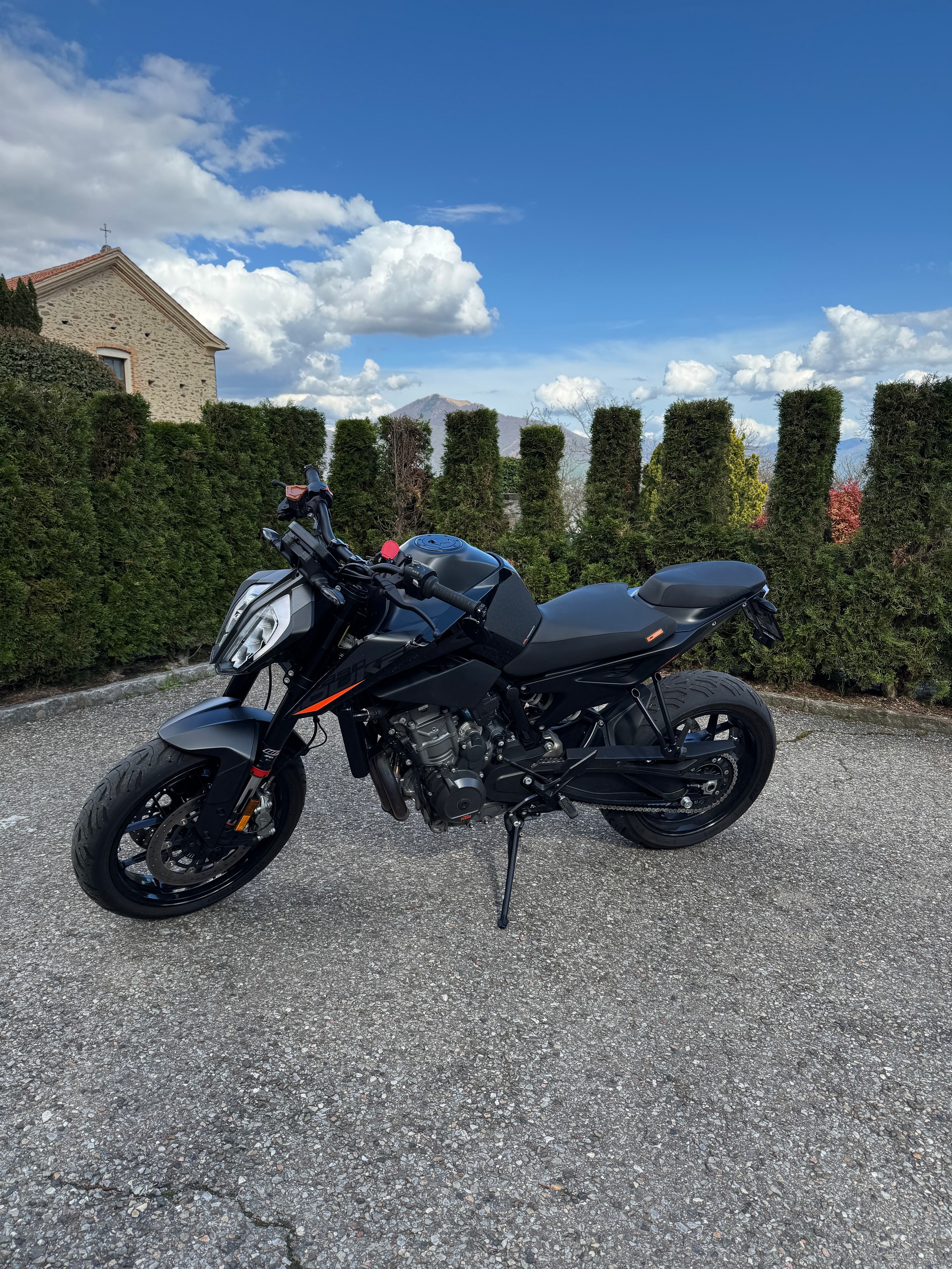 KTM 890 Duke-image-4