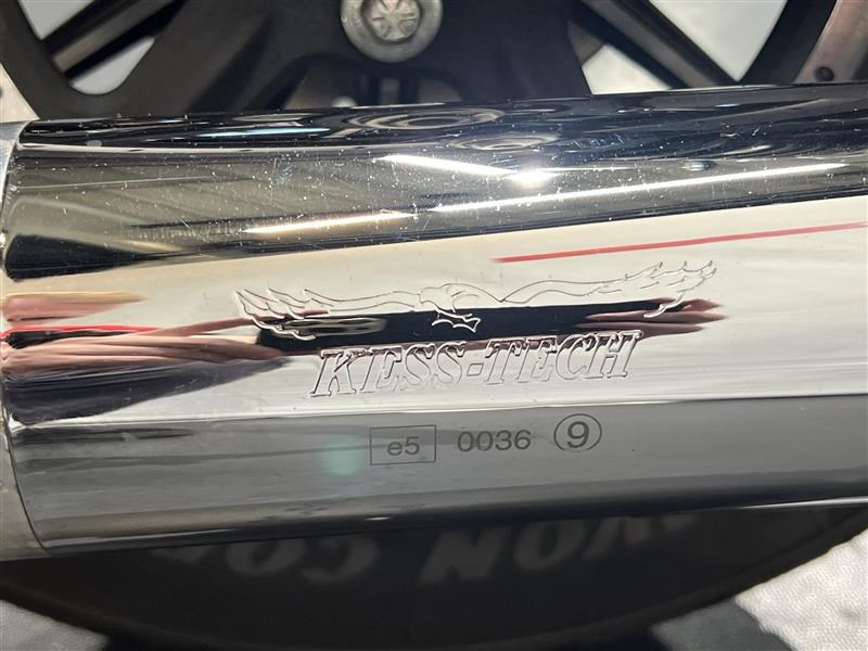 HARLEY-DAVIDSON Sportster Iron-image-13