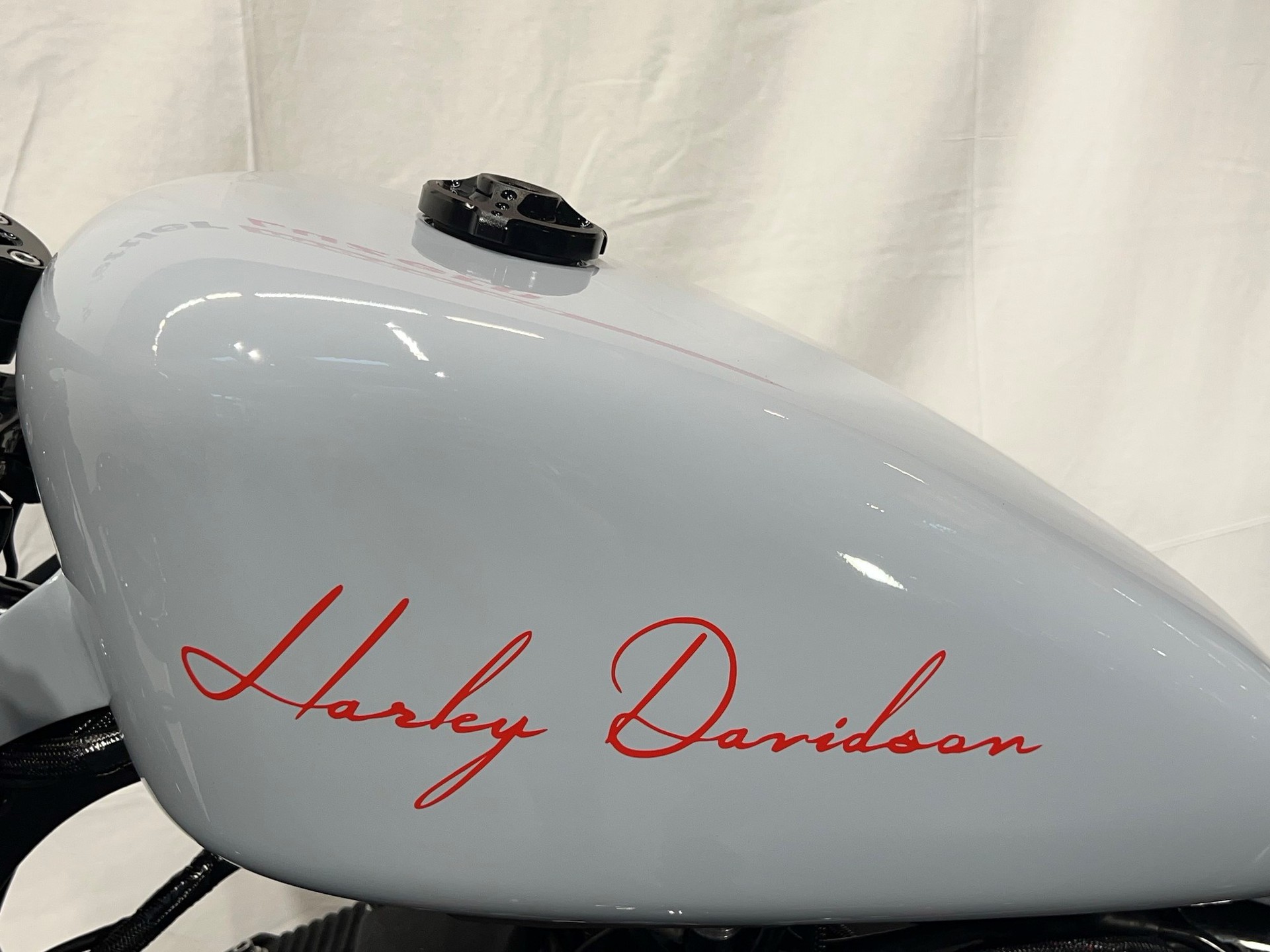 HARLEY-DAVIDSON Sportster Iron-image-6