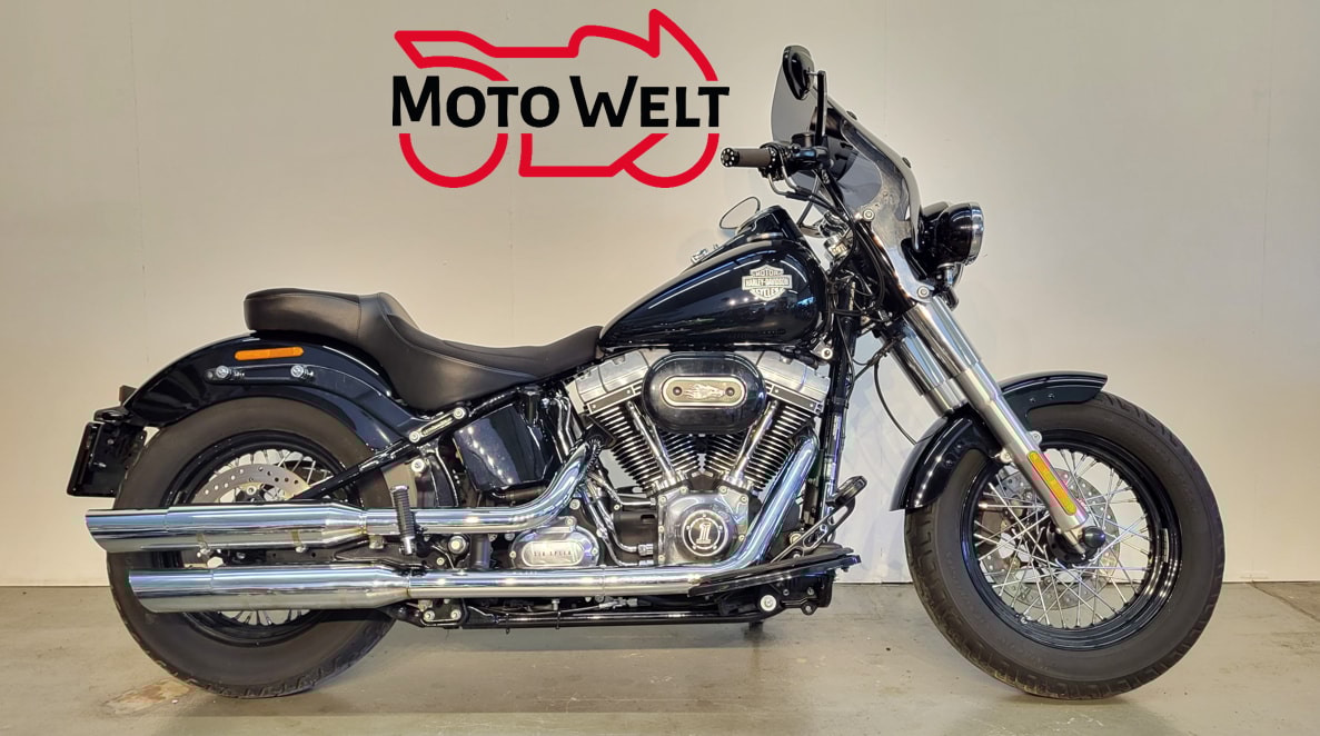 HARLEY-DAVIDSON FLS Softail Slim ABS