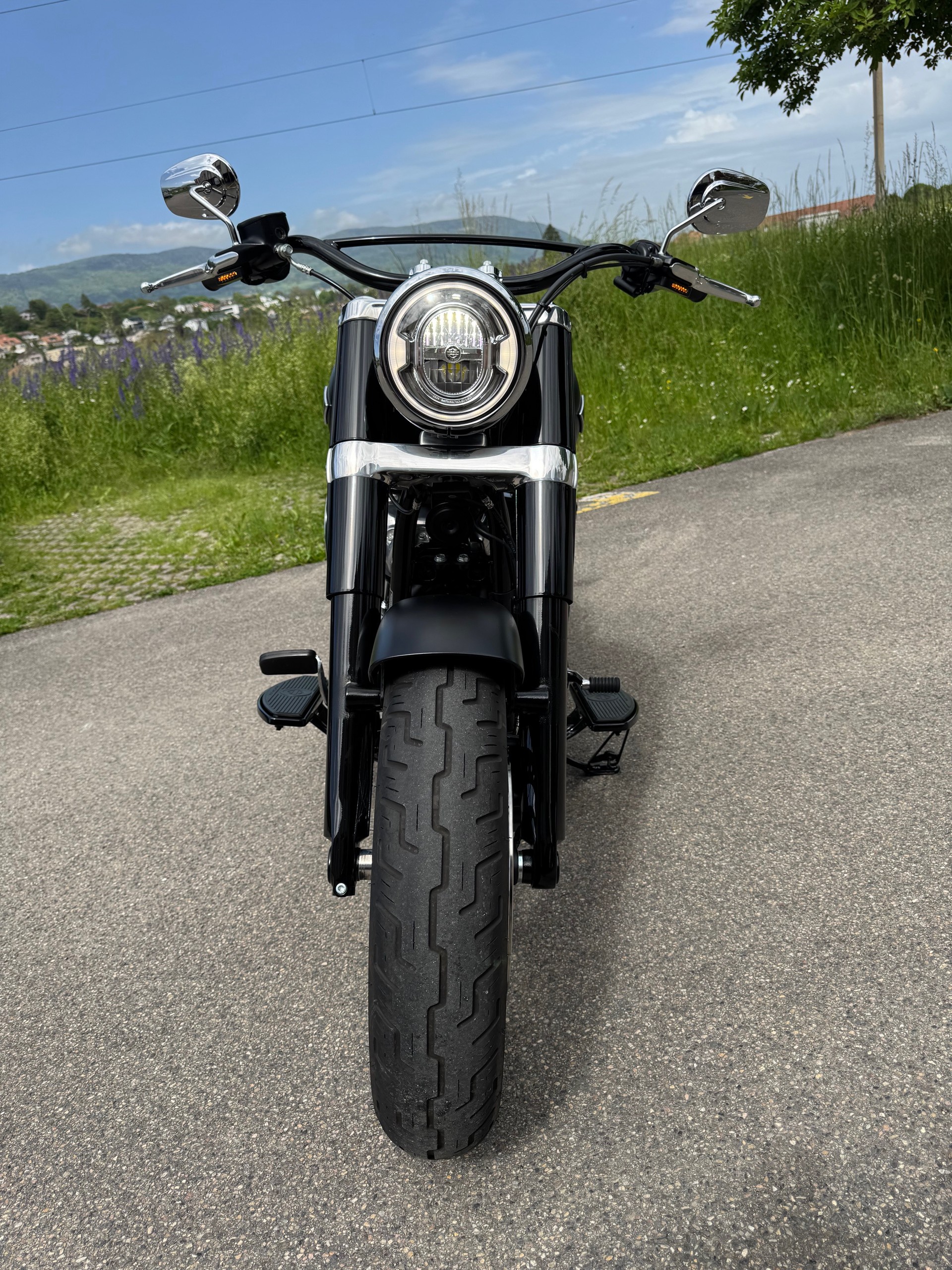 HARLEY-DAVIDSON FLSL Softail Slim 107 ABS-image-3
