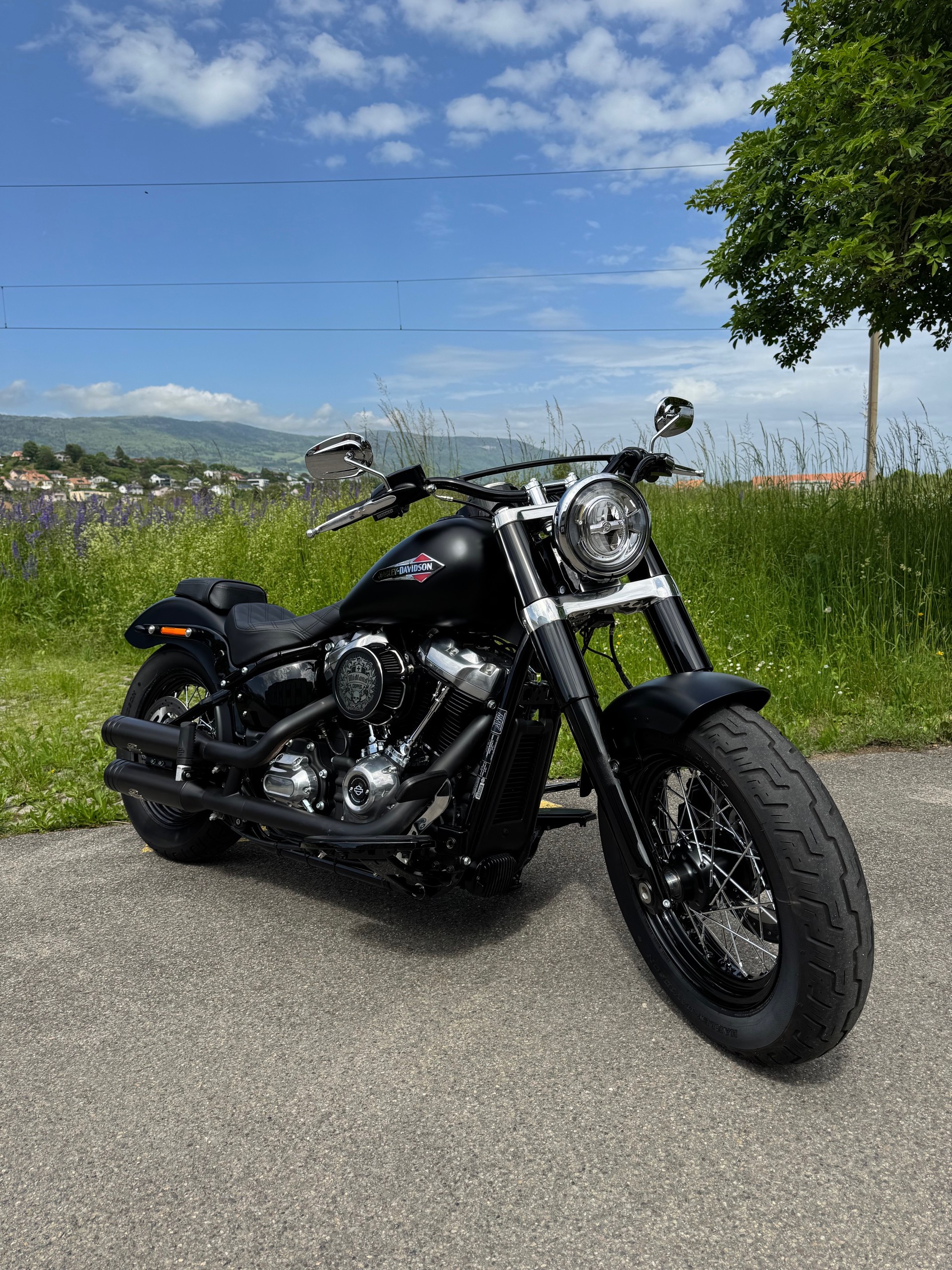 HARLEY-DAVIDSON FLSL Softail Slim 107 ABS-image-1