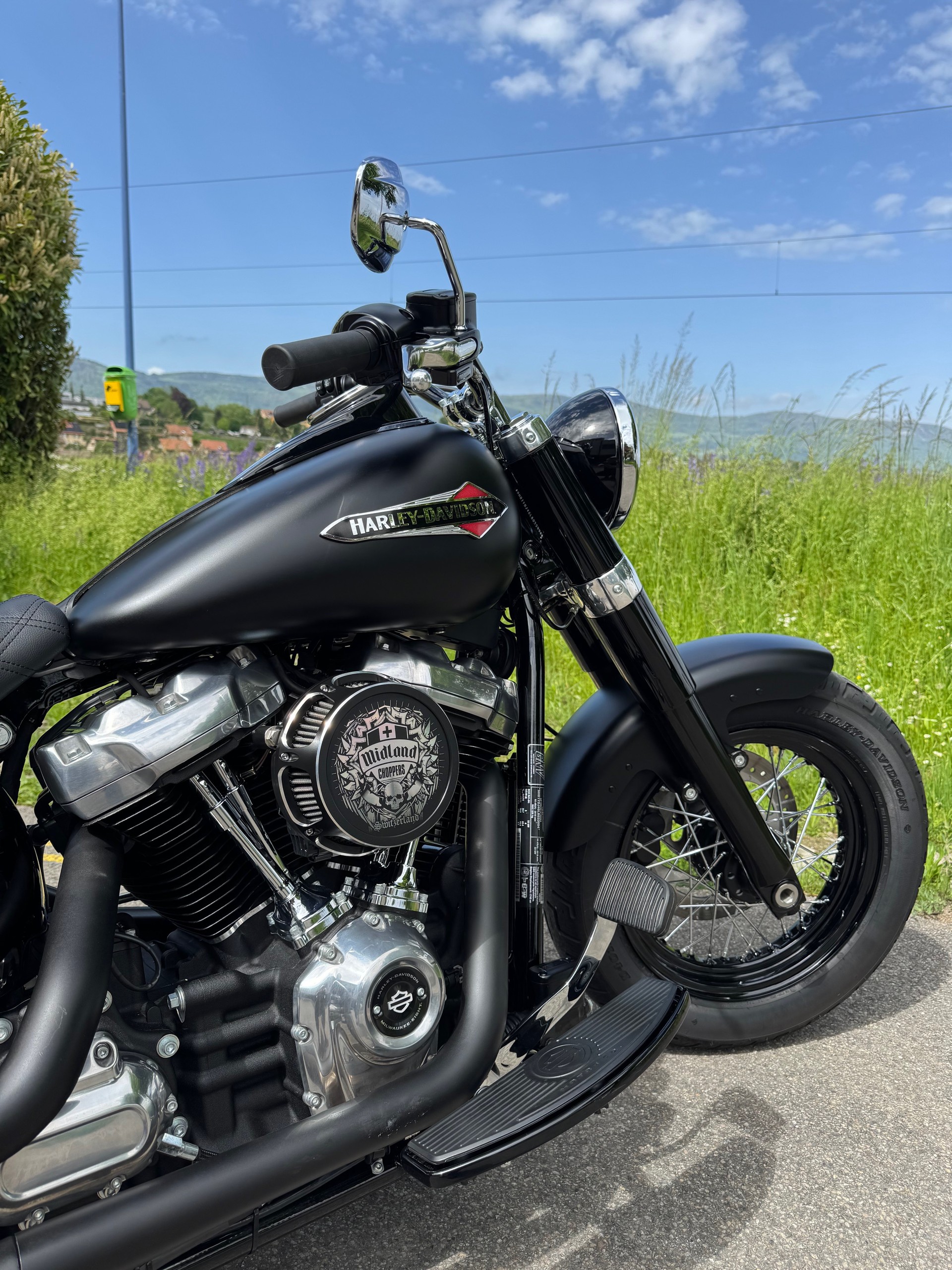HARLEY-DAVIDSON FLSL Softail Slim 107 ABS-image-5