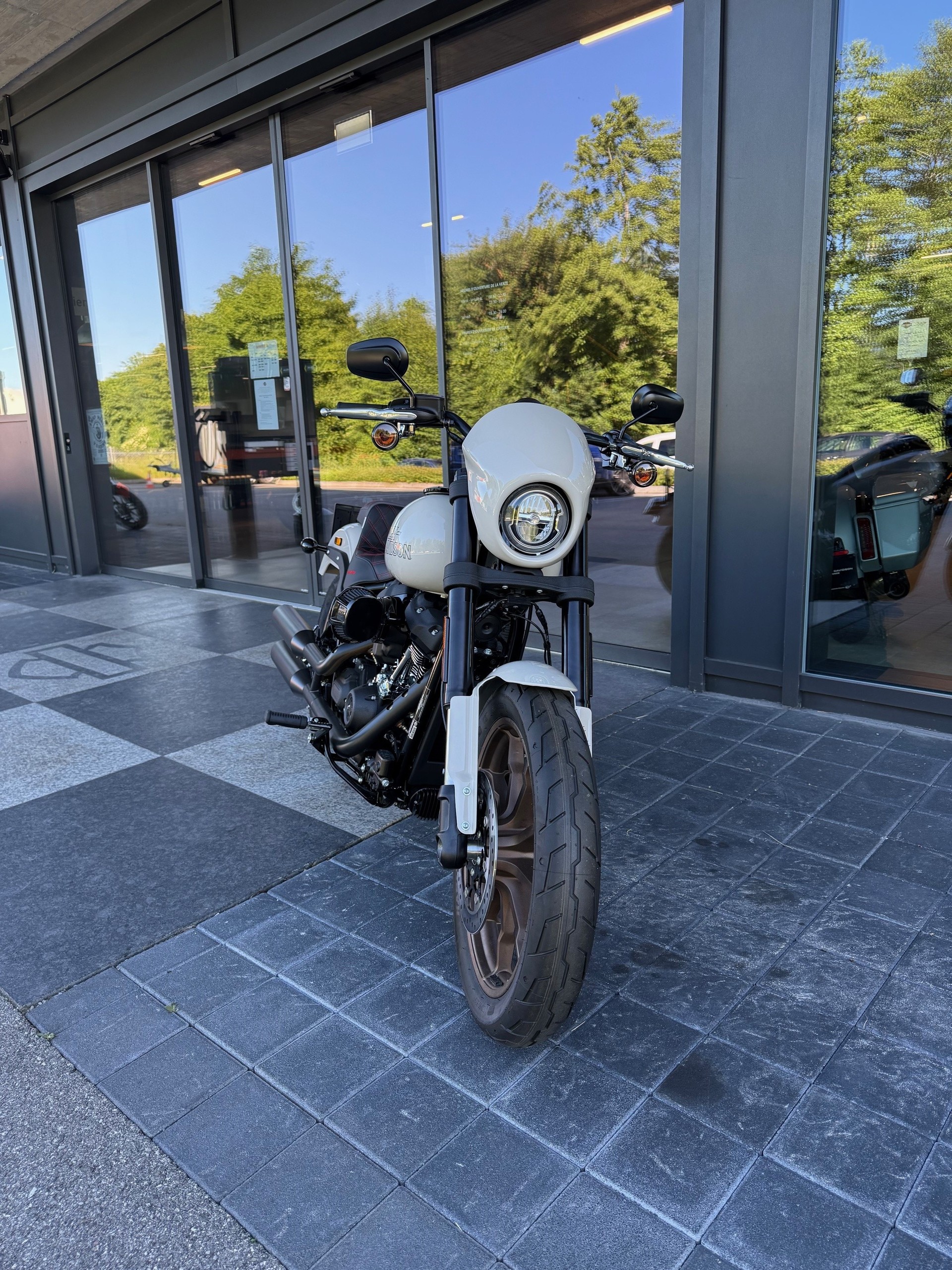 HARLEY-DAVIDSON FXLRS Low Rider S 117-showroom-element-2
