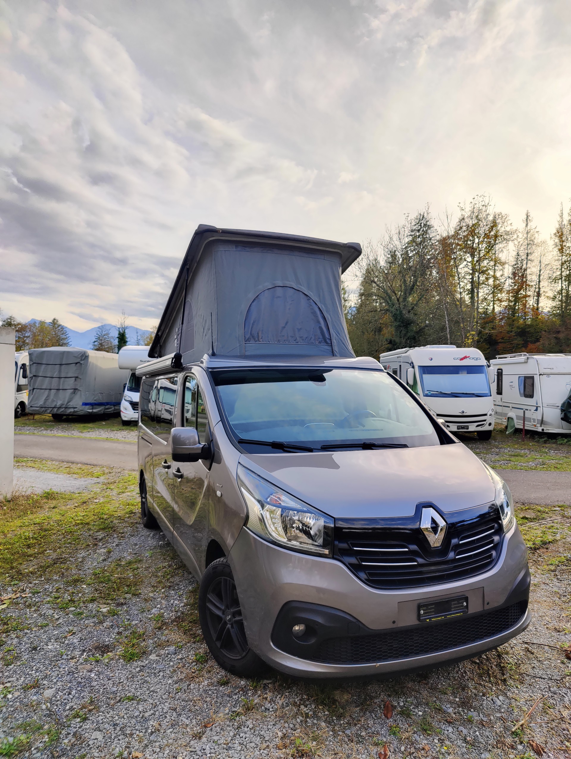 RENAULT TRAFIC acheter un véhicule d'occasion MotoScout24