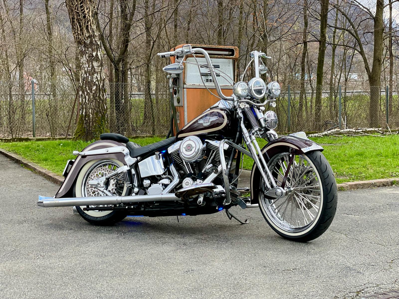 HARLEY-DAVIDSON FLSTS Springer Anniversary-showroom-element-1