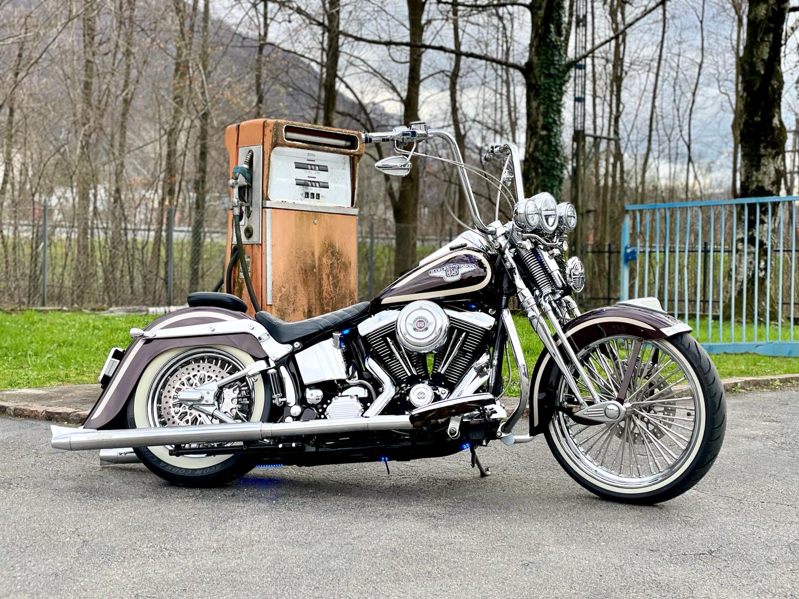 HARLEY-DAVIDSON FLSTS Springer Anniversary-showroom-element-3