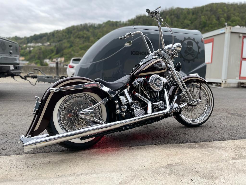 HARLEY-DAVIDSON FLSTS Springer Anniversary-showroom-element-2