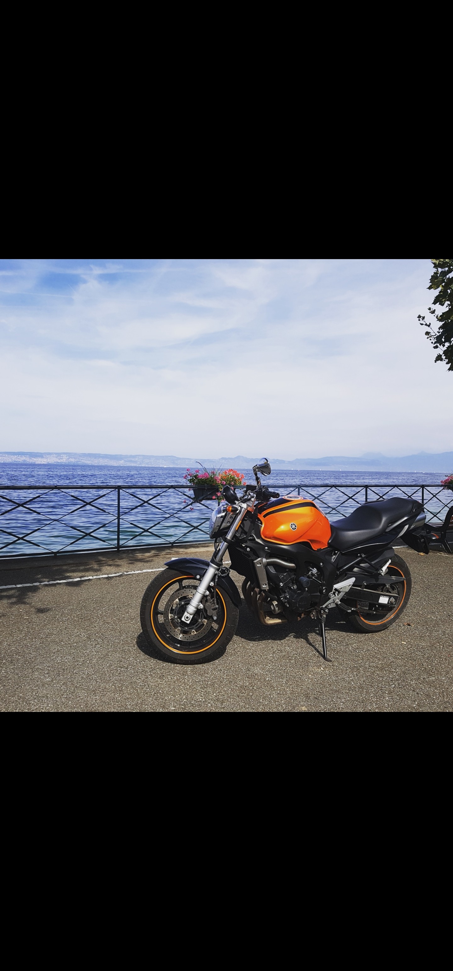 YAMAHA FZ6 N S-image-0