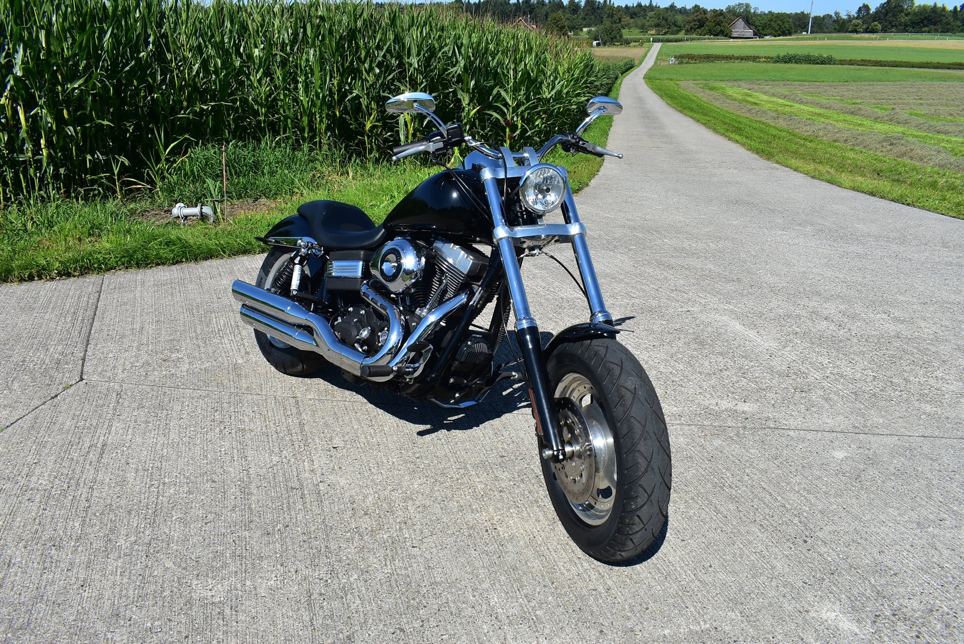 HARLEY-DAVIDSON FXDF Dyna Fat Bob