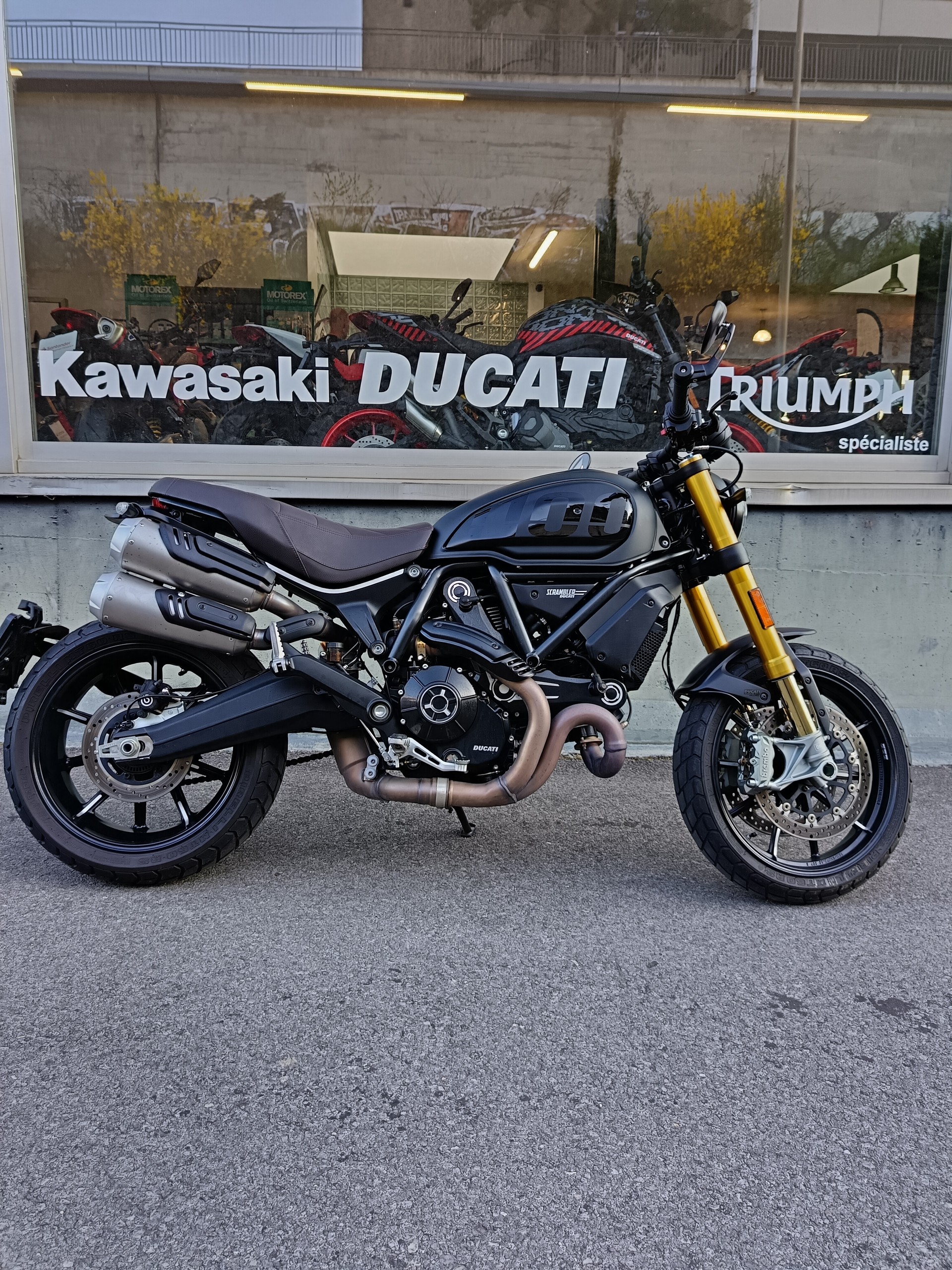 DUCATI Scrambler 1100 Sport Pro-showroom-element-3