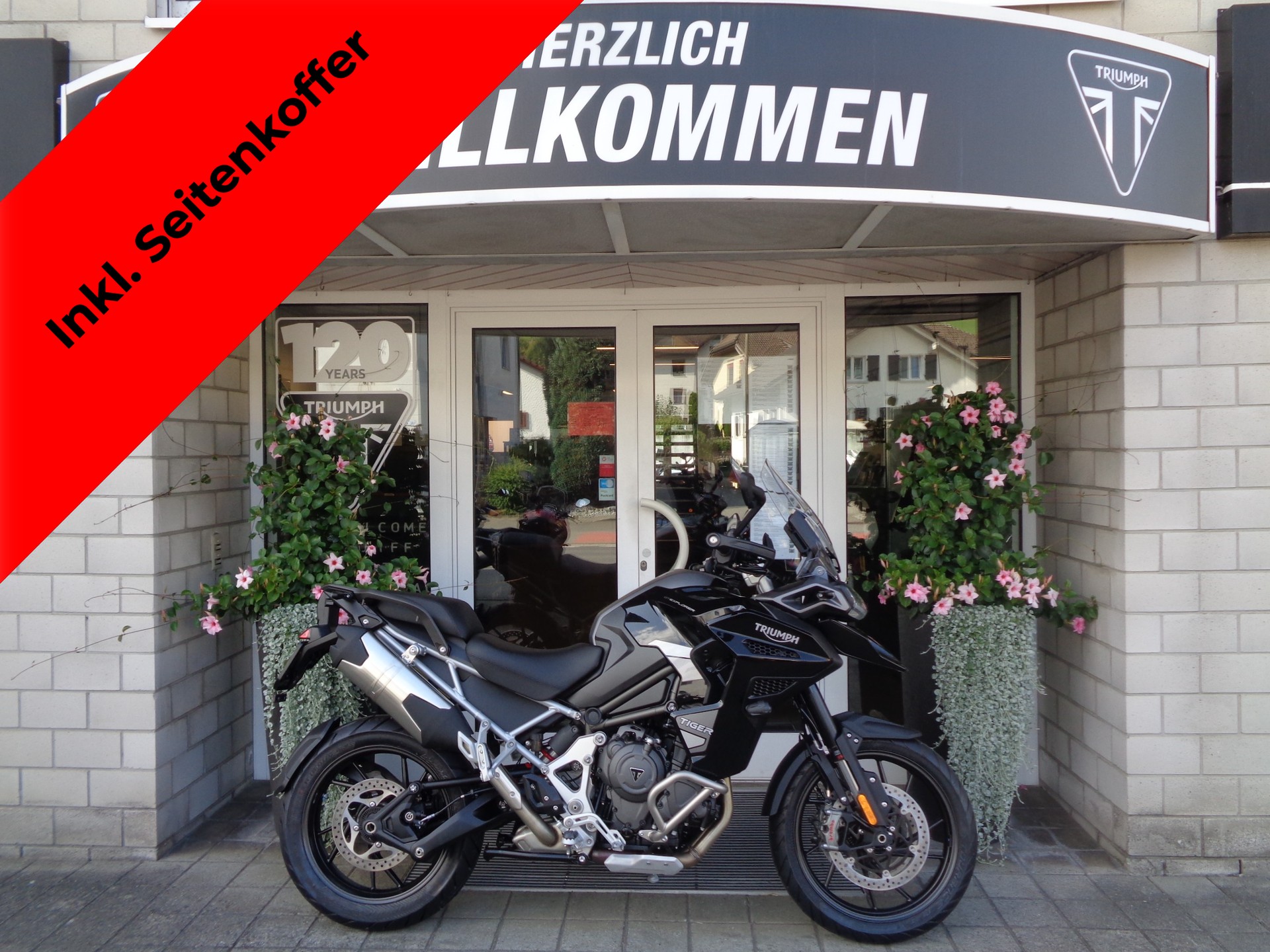 TRIUMPH Tiger 1200 GT Explorer