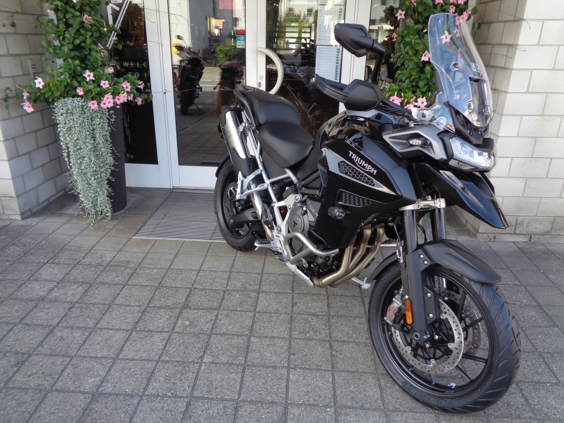 TRIUMPH Tiger 1200 GT Explorer-showroom-element-3