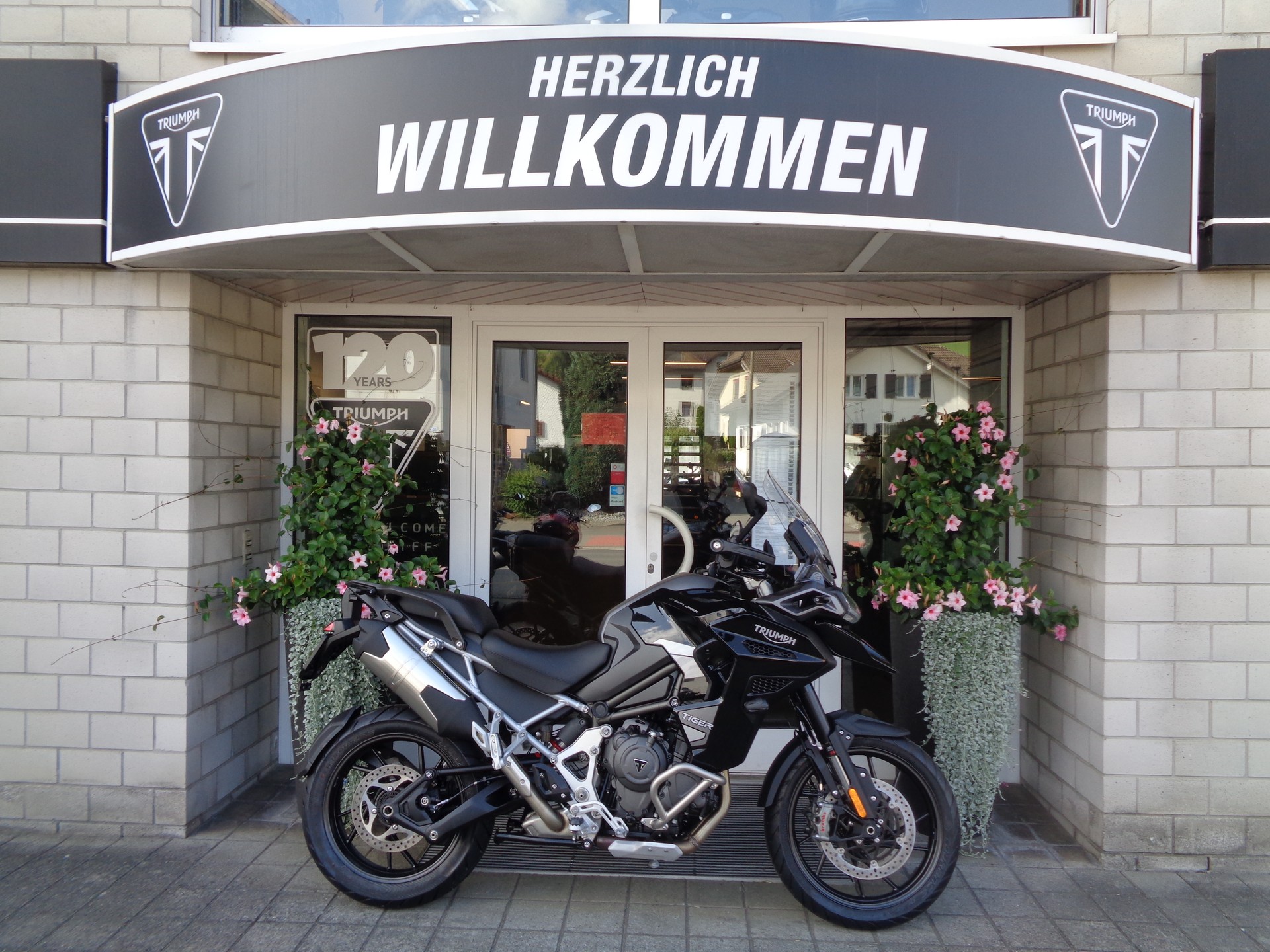 TRIUMPH Tiger 1200 GT Explorer-showroom-element-1