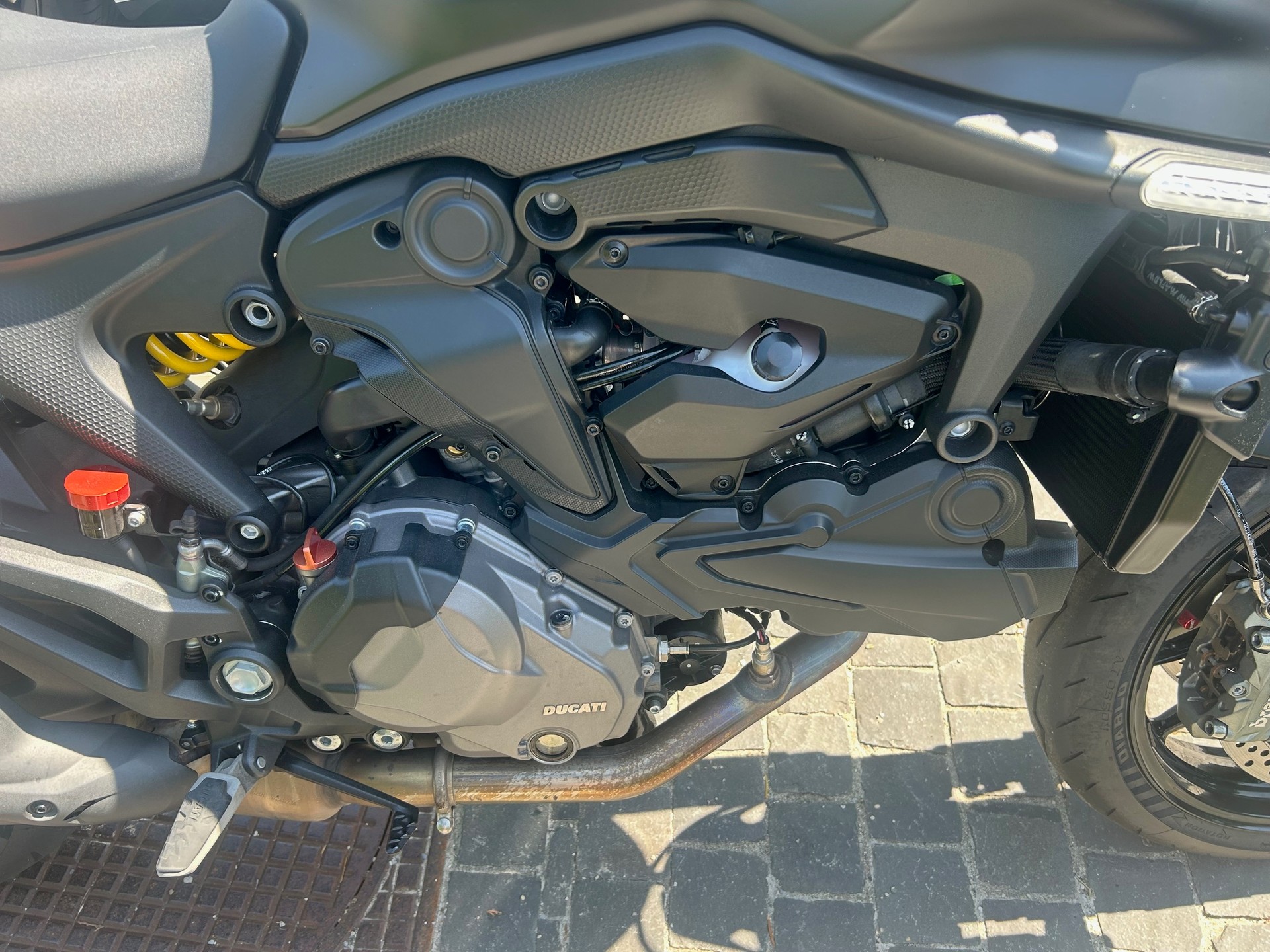 DUCATI Monster + 937 (25KW)-image-6