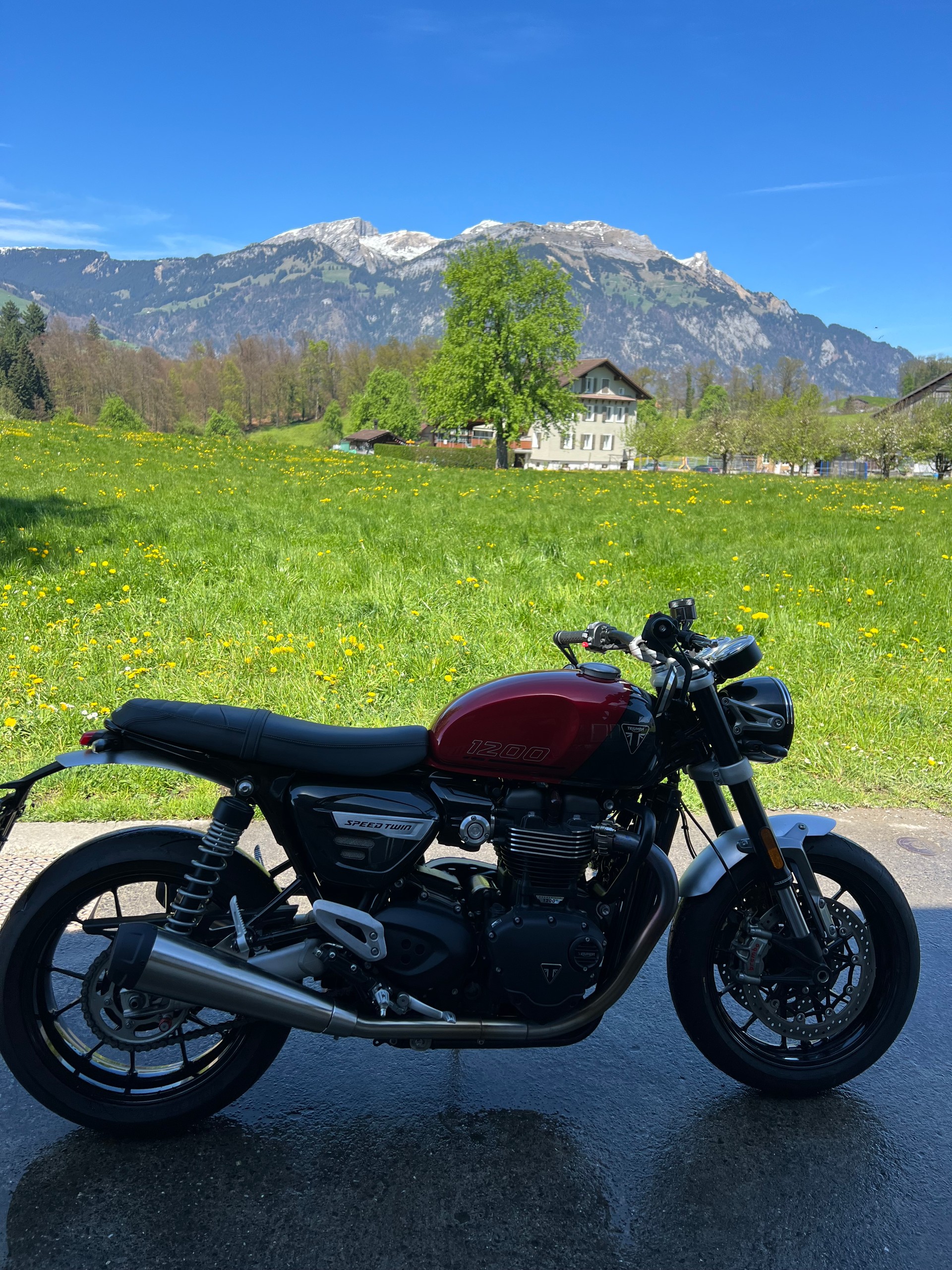 TRIUMPH Speed Twin 1200