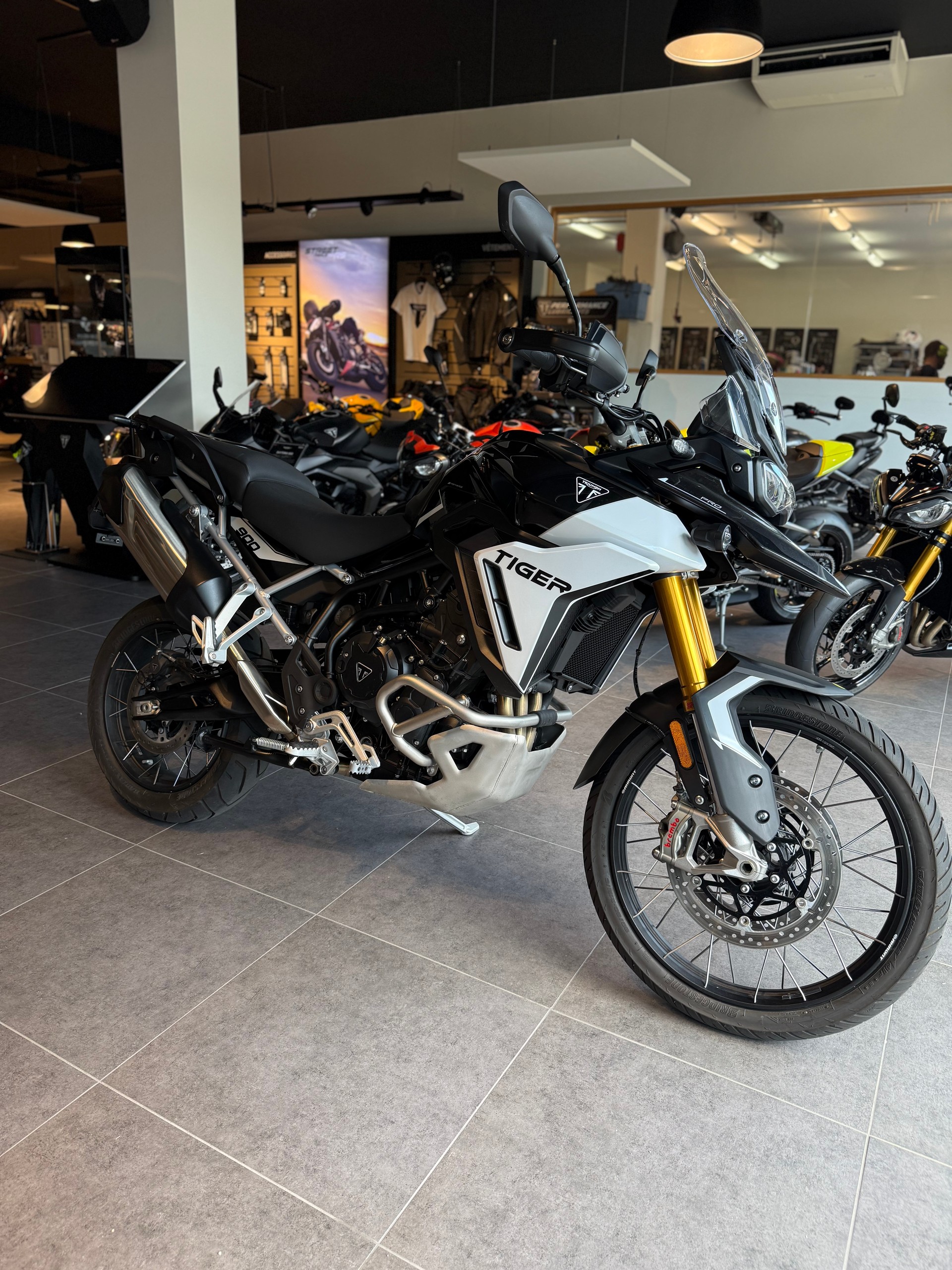 TRIUMPH Tiger 900 Rally Pro-showroom-element-2