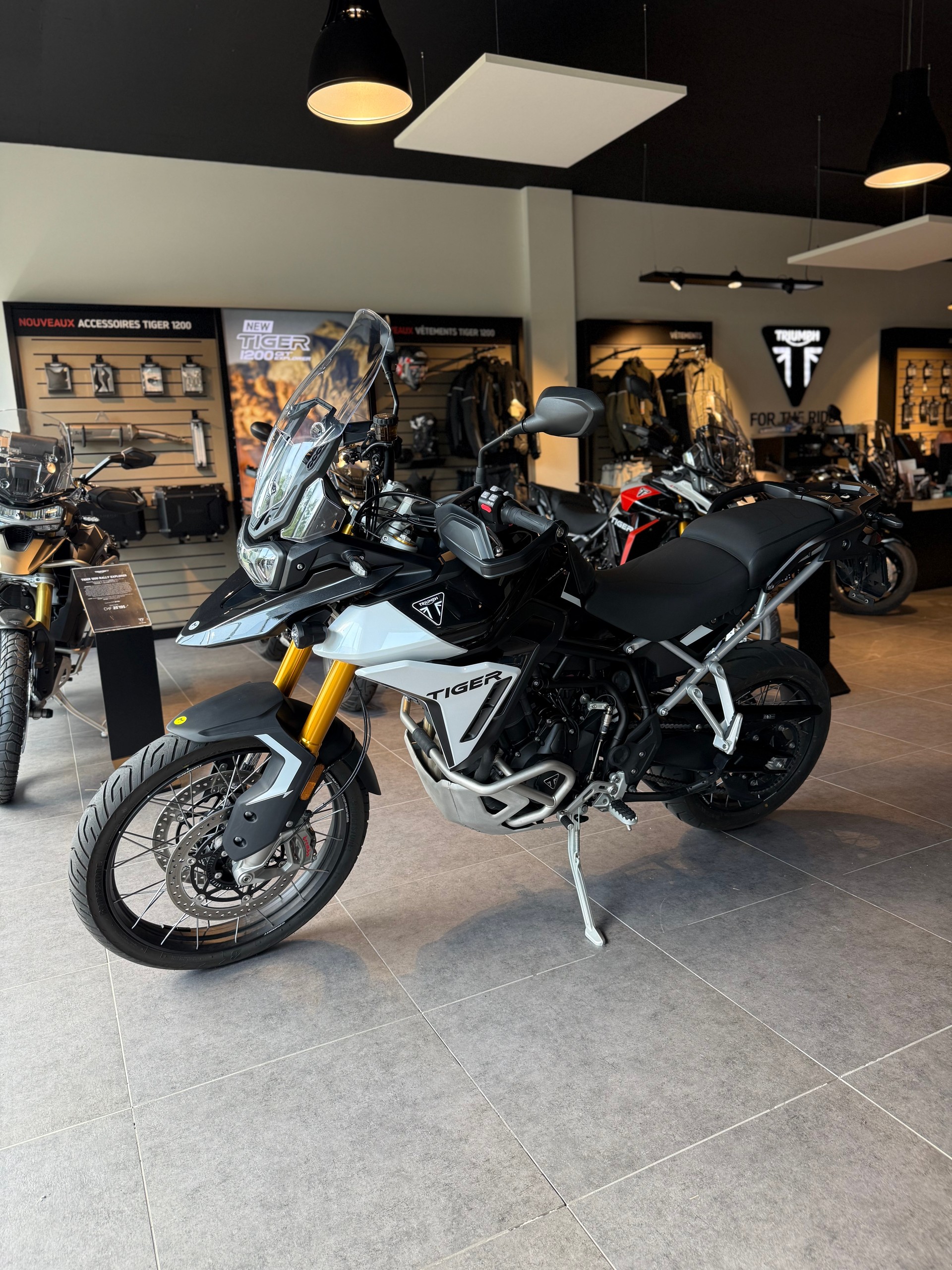 TRIUMPH Tiger 900 Rally Pro