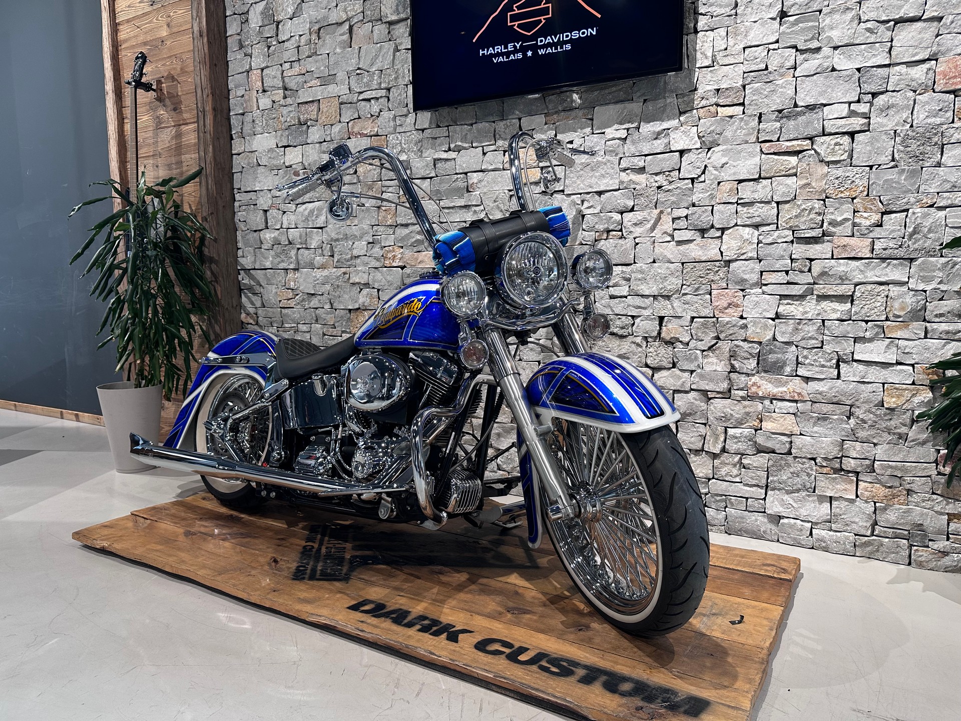 HARLEY-DAVIDSON FLSTCI Softail Classic-showroom-element-1