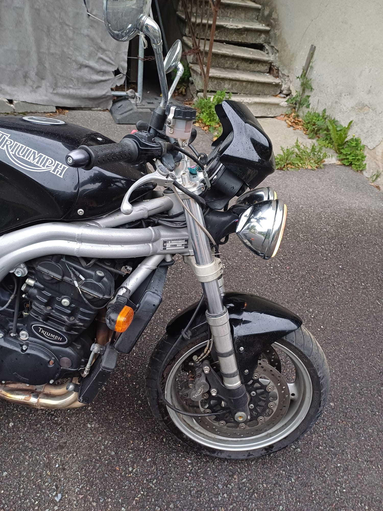 TRIUMPH Speed Triple 955i