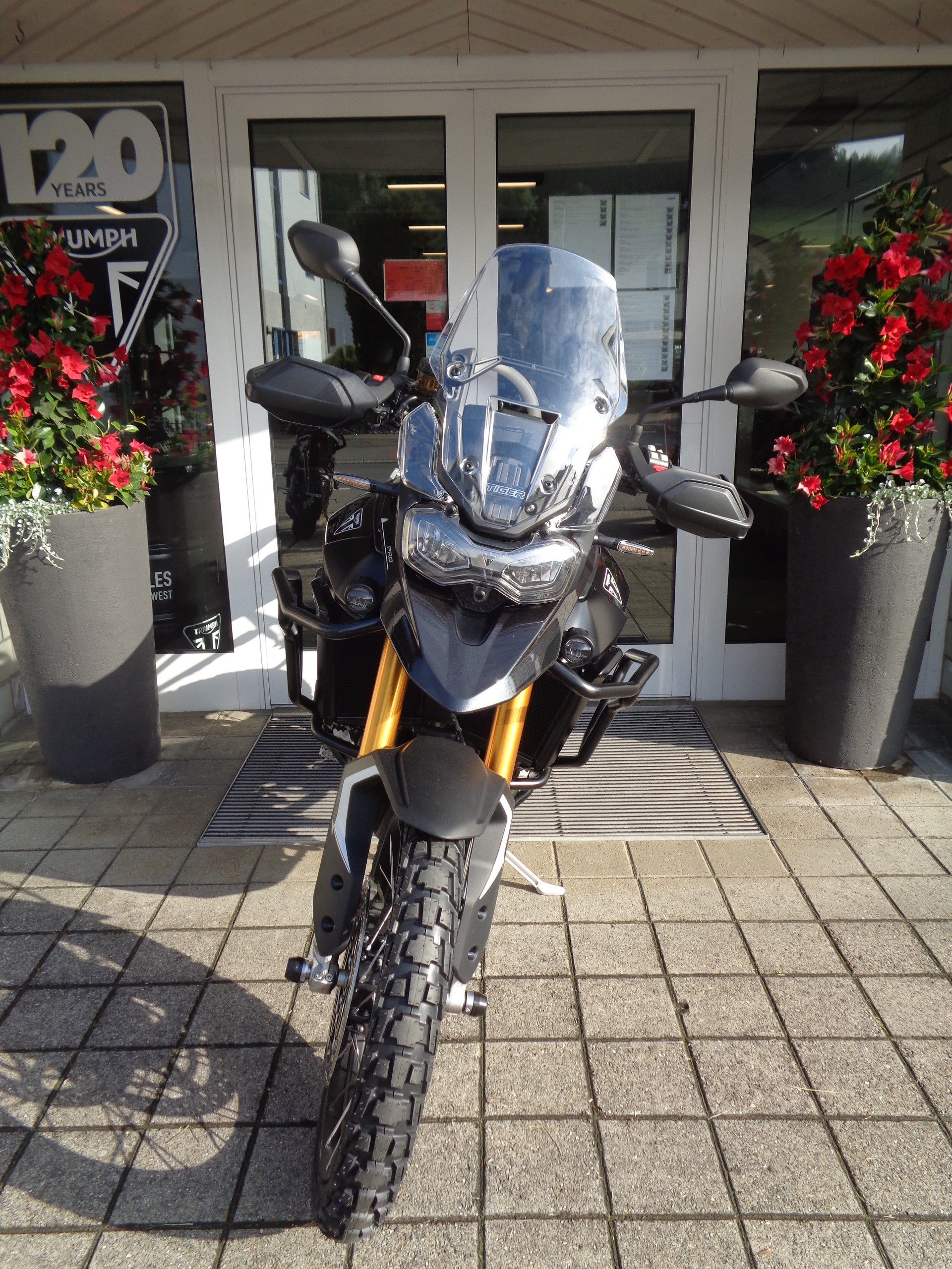 TRIUMPH Tiger 900 Rally Pro-showroom-element-3