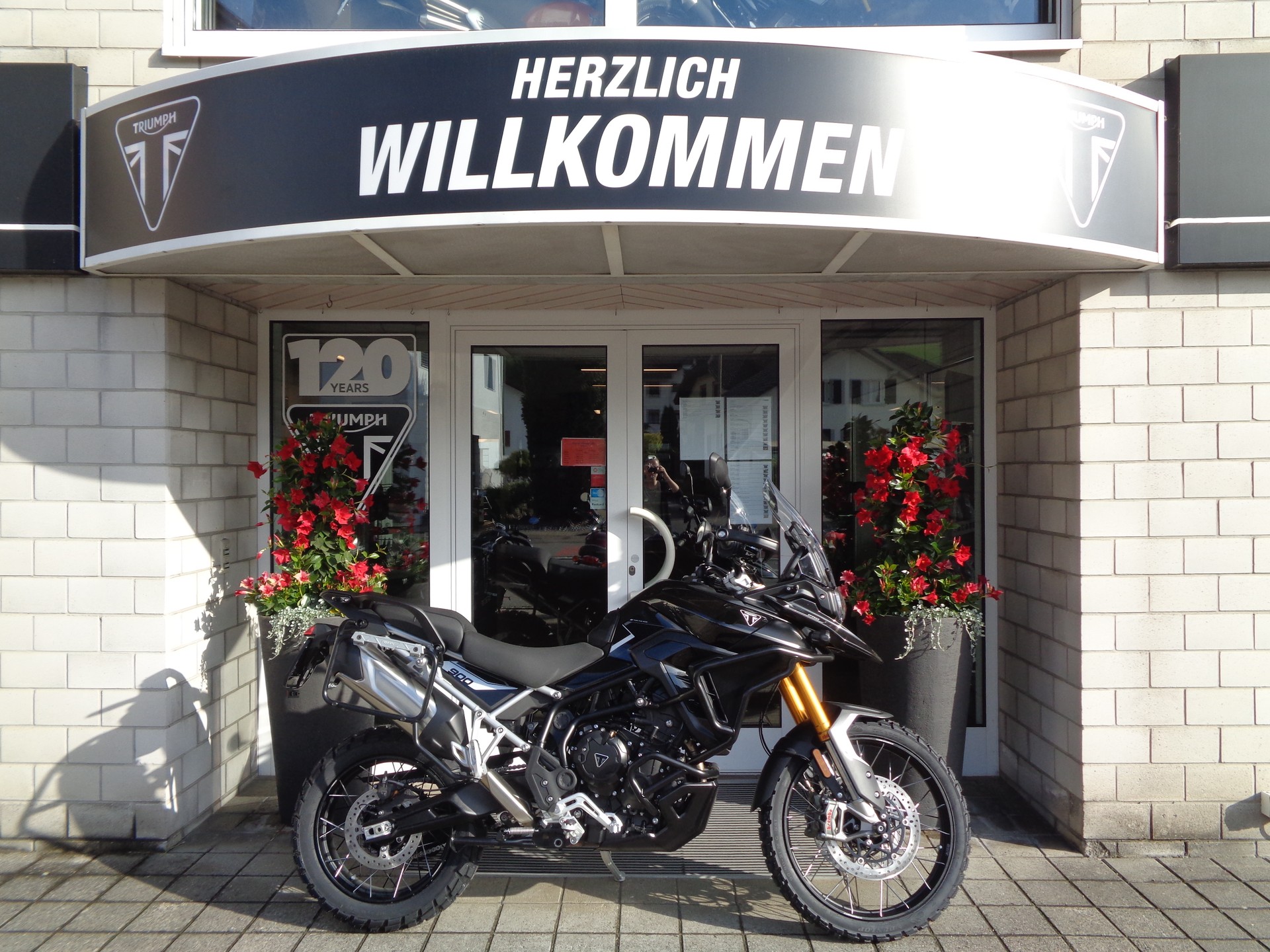 TRIUMPH Tiger 900 Rally Pro