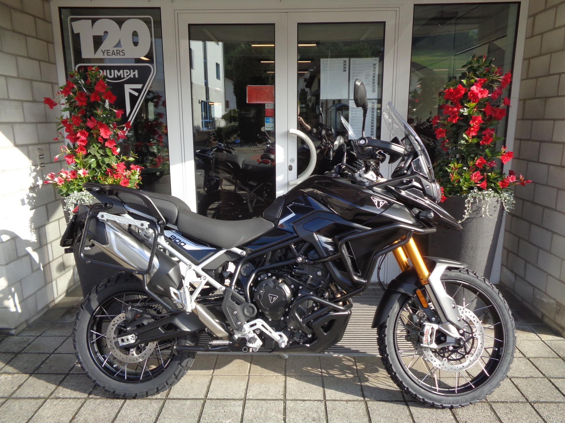 TRIUMPH Tiger 900 Rally Pro-showroom-element-1