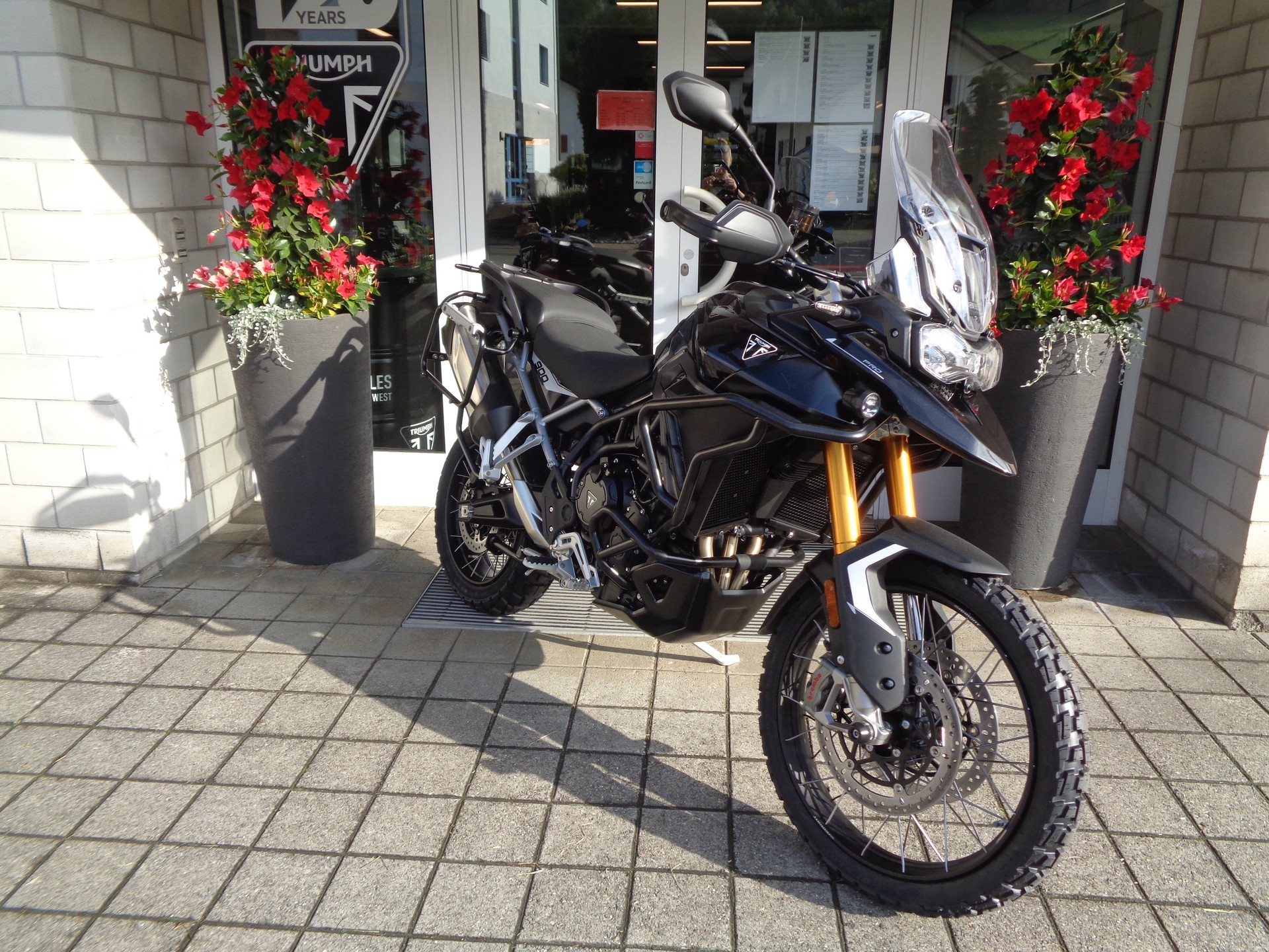 TRIUMPH Tiger 900 Rally Pro-showroom-element-2