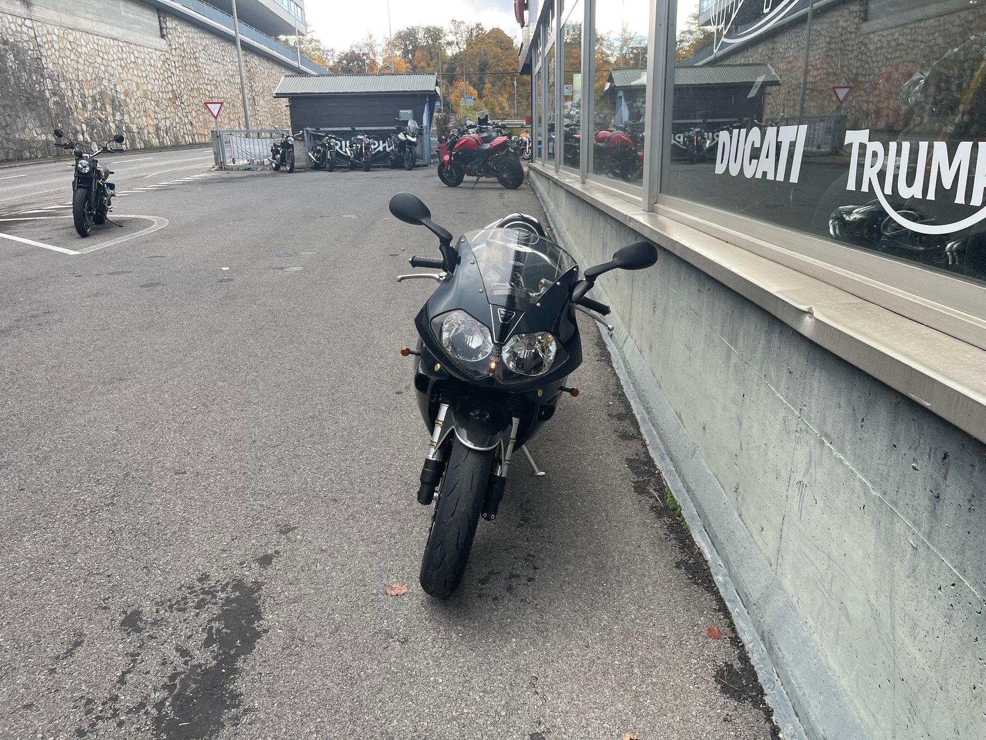 TRIUMPH Daytona Centenary-showroom-element-3