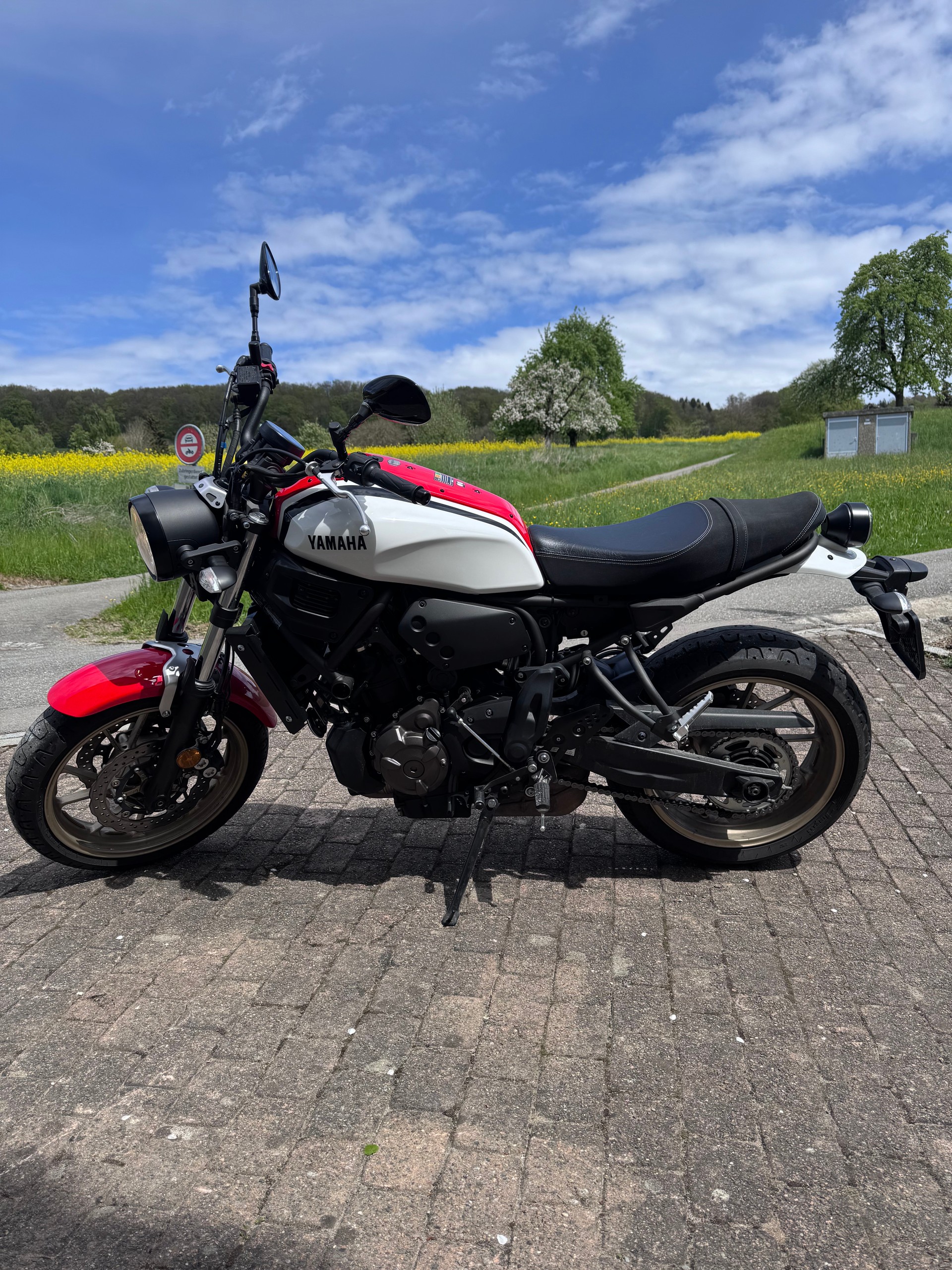 YAMAHA XSR 700-image-2