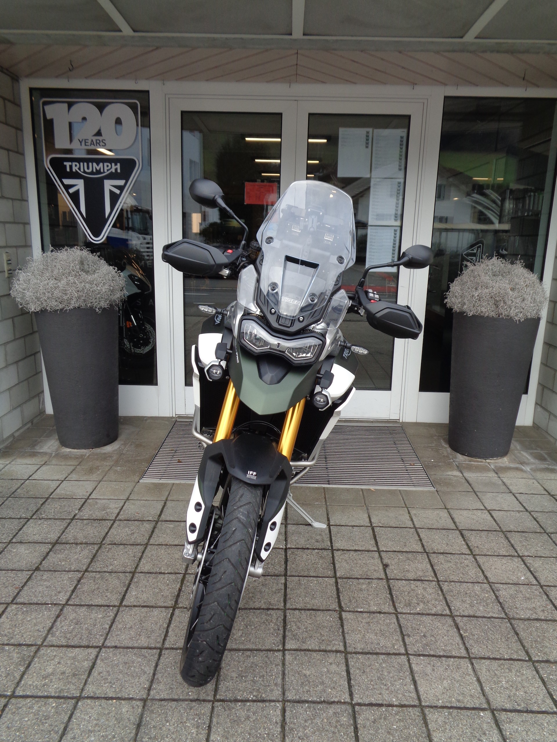 TRIUMPH Tiger 900 Rally Pro-image-5