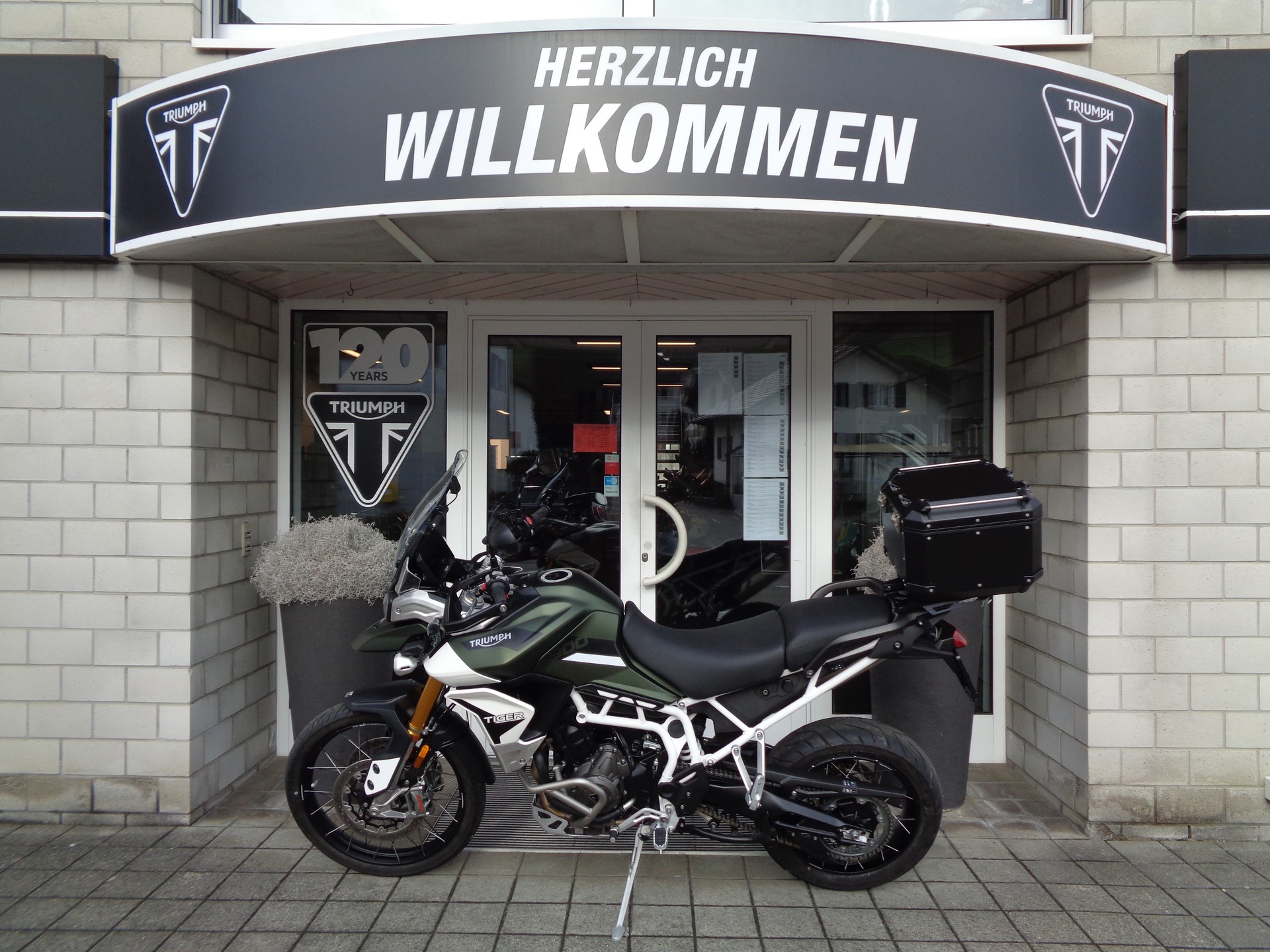 TRIUMPH Tiger 900 Rally Pro-image-3