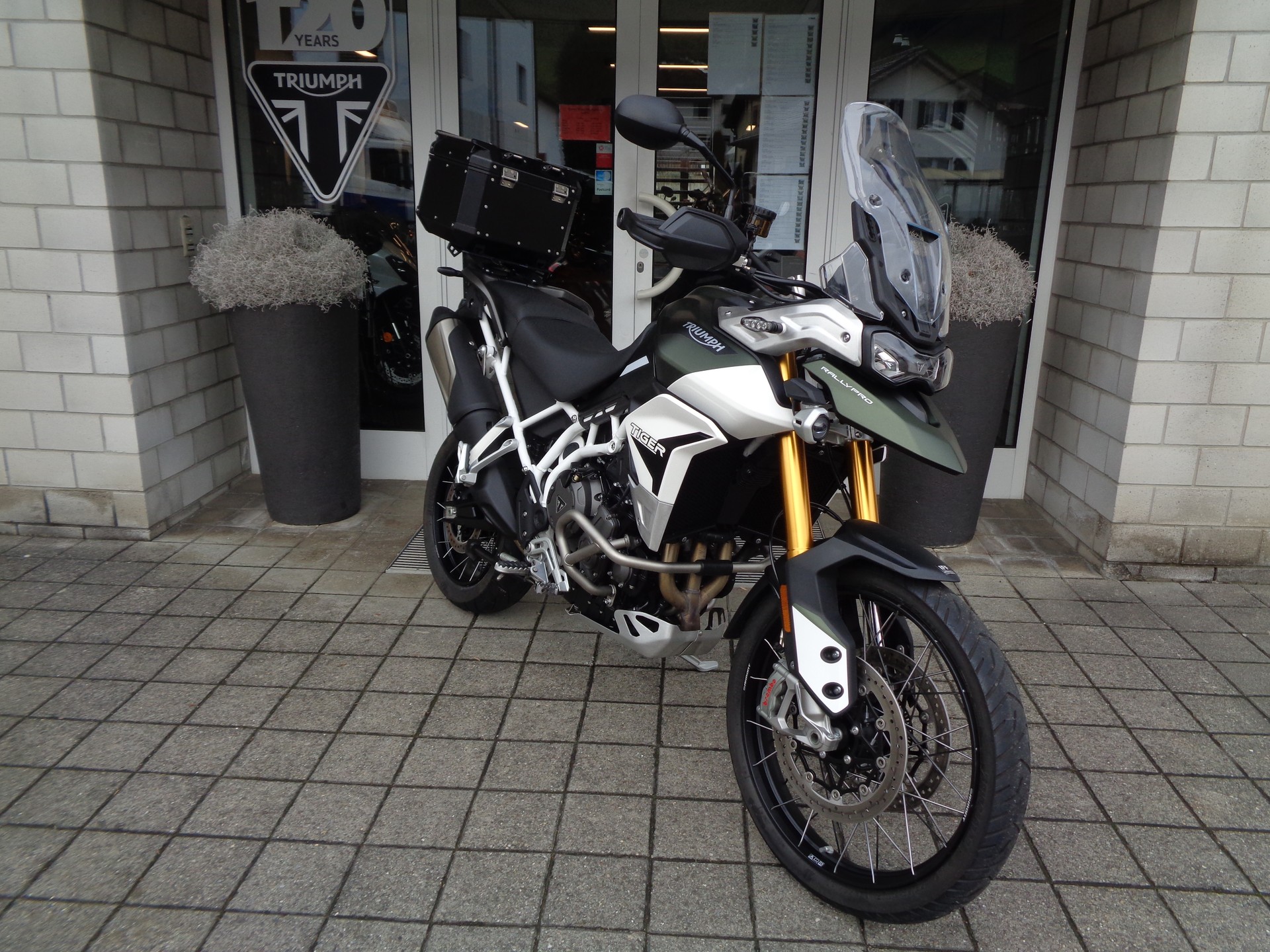 TRIUMPH Tiger 900 Rally Pro-image-2