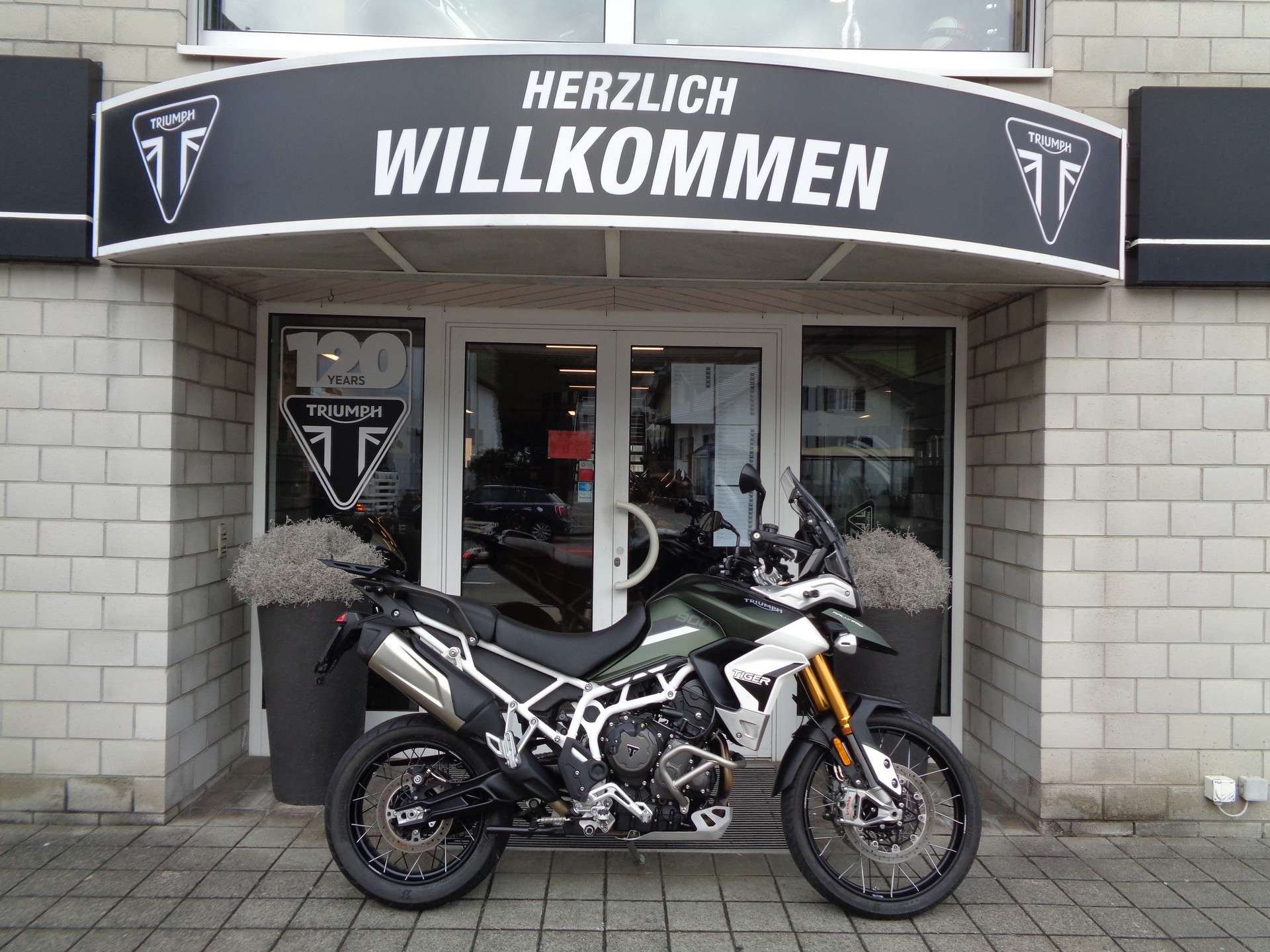 TRIUMPH Tiger 900 Rally Pro-image-7