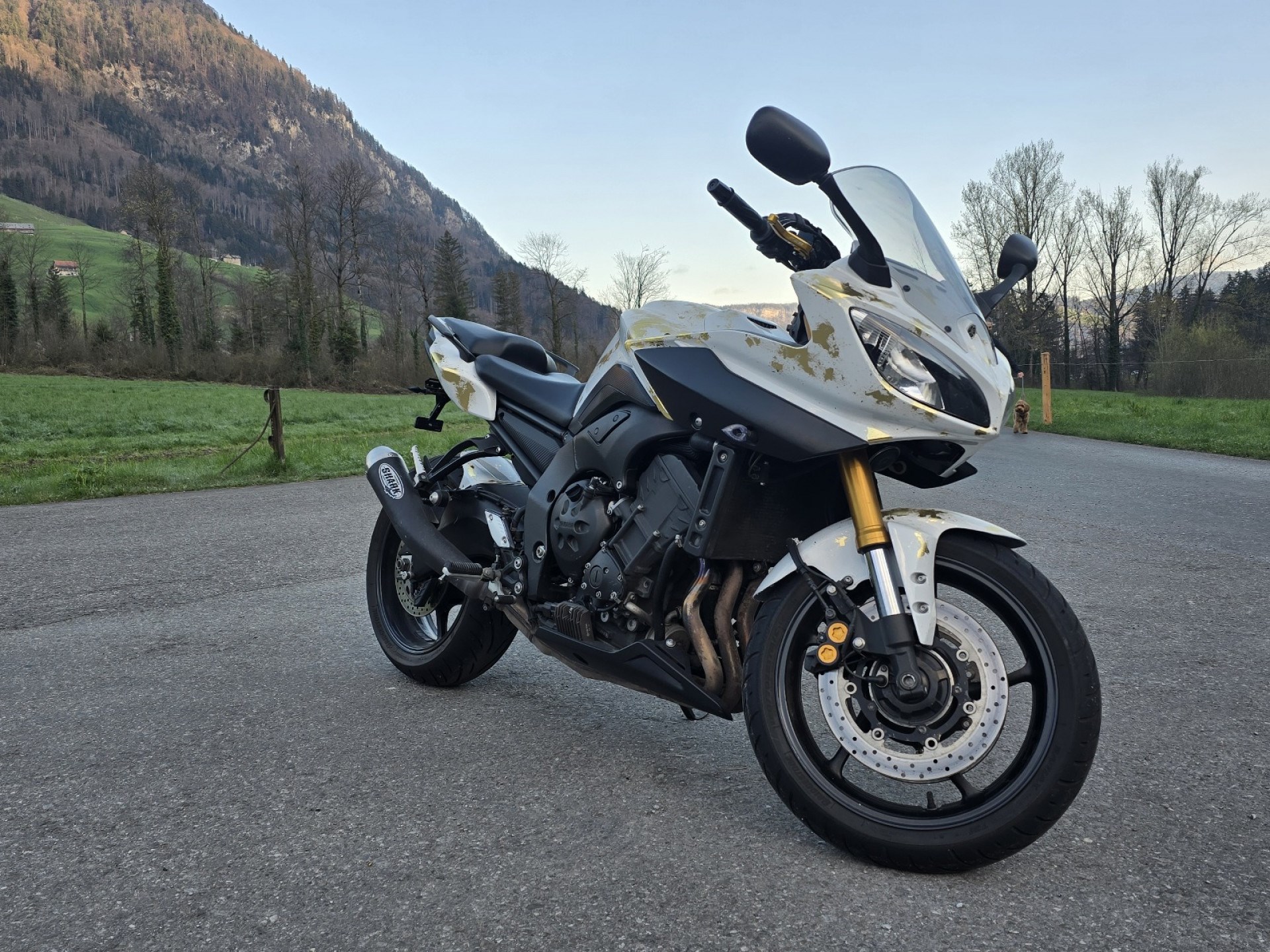 YAMAHA FZ 8 Fazer S-image-3
