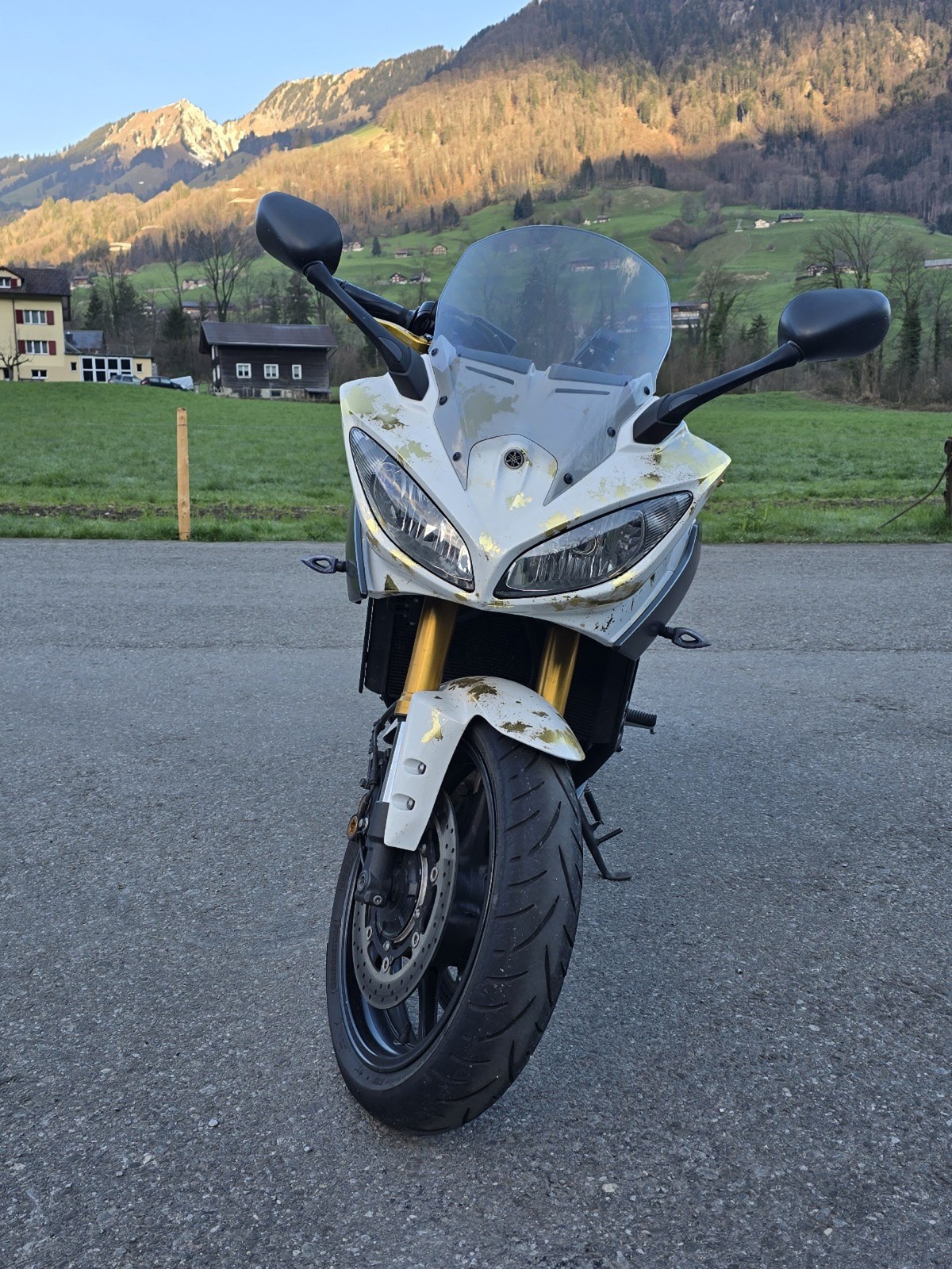 YAMAHA FZ 8 Fazer S-image-5