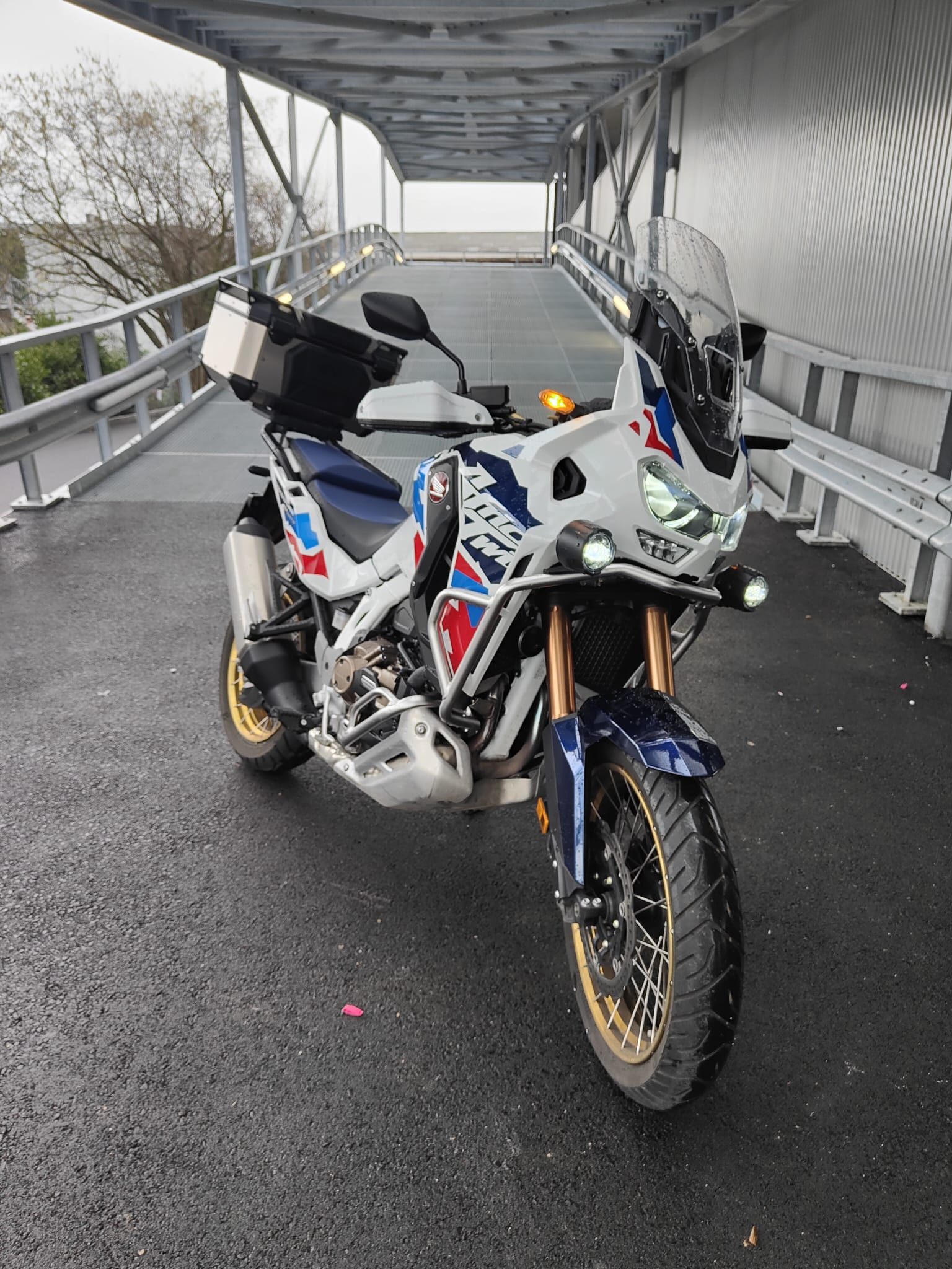 HONDA CRF 1100 DCT Africa Twin Adventure Sports