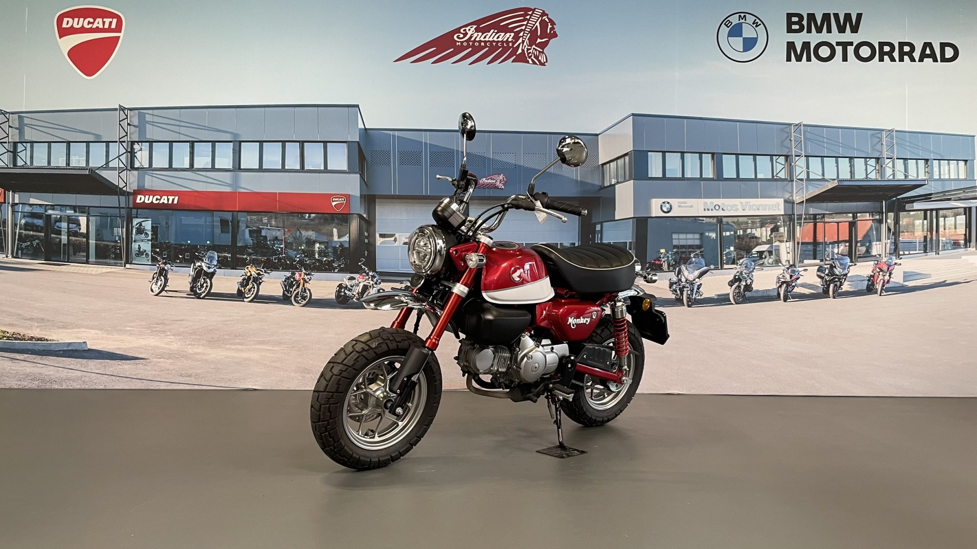 HONDA Z 125 MA Monkey-showroom-element-2