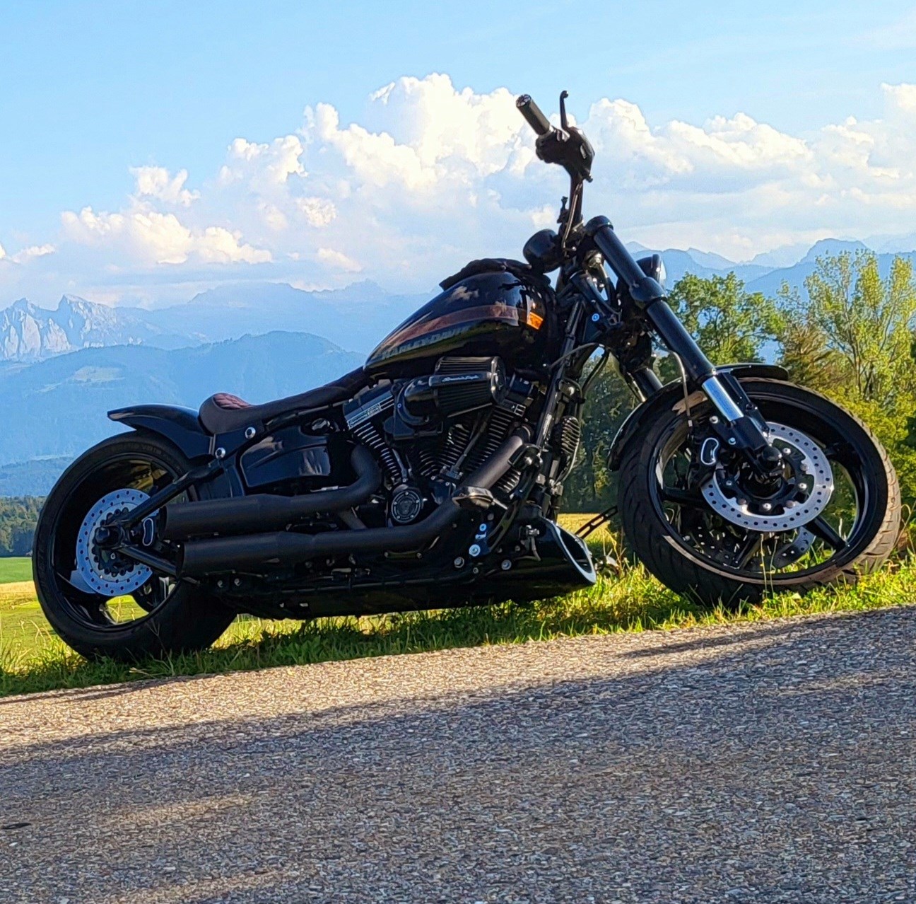 HARLEY-DAVIDSON FXSE Breakout Pro Street CVO ABS-image-1
