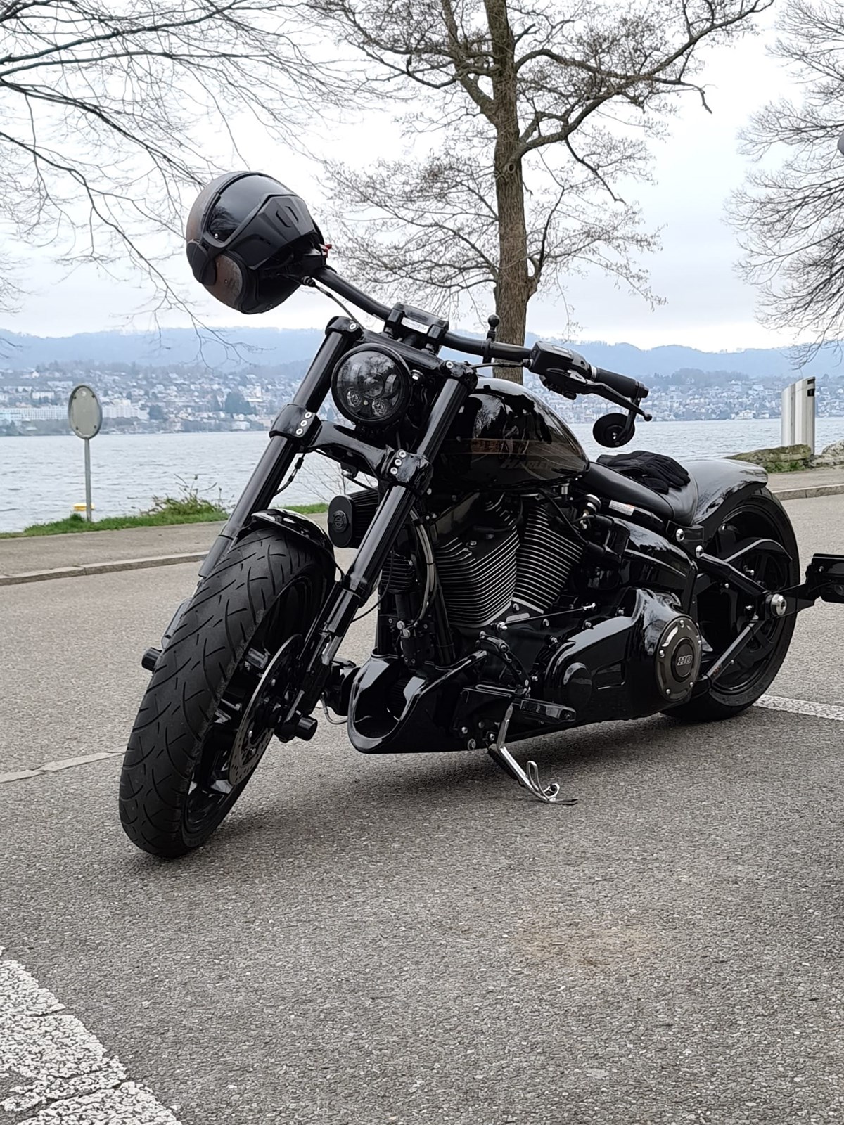 HARLEY-DAVIDSON FXSE Breakout Pro Street CVO ABS-image-4