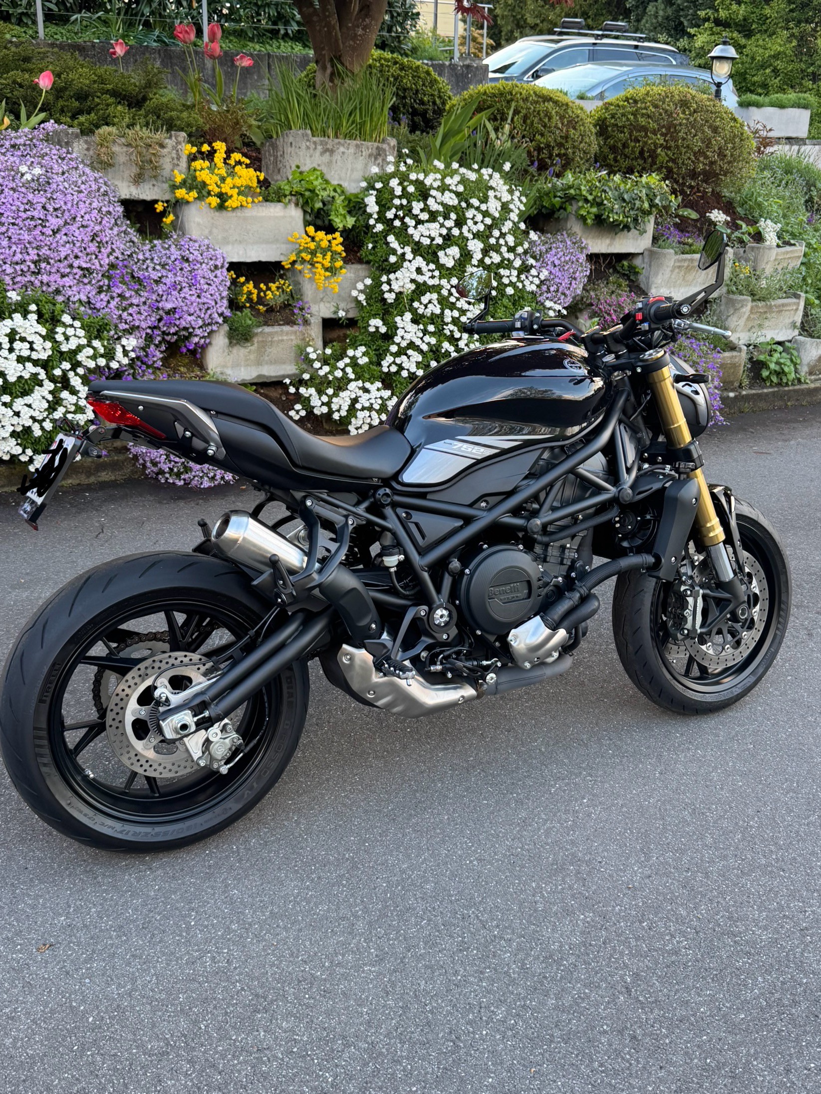 BENELLI 752 S