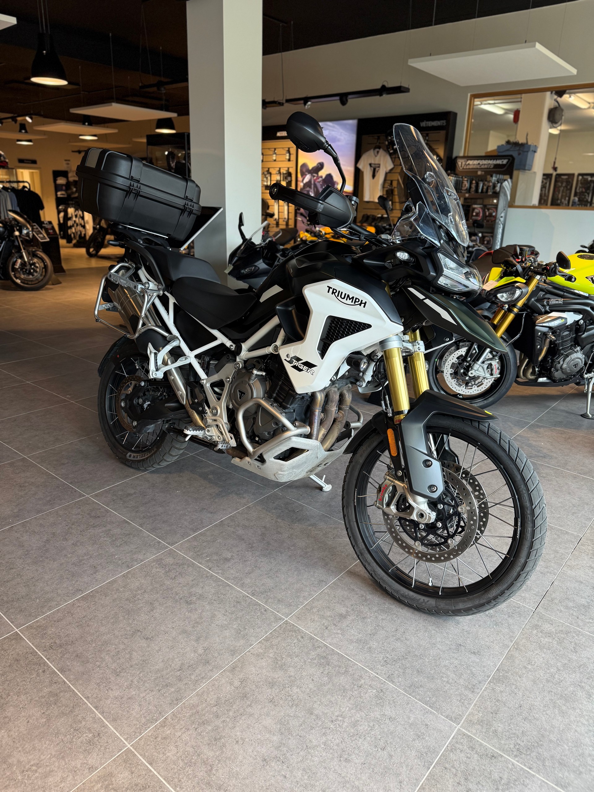 TRIUMPH Tiger 1200 Rally Pro-showroom-element-1