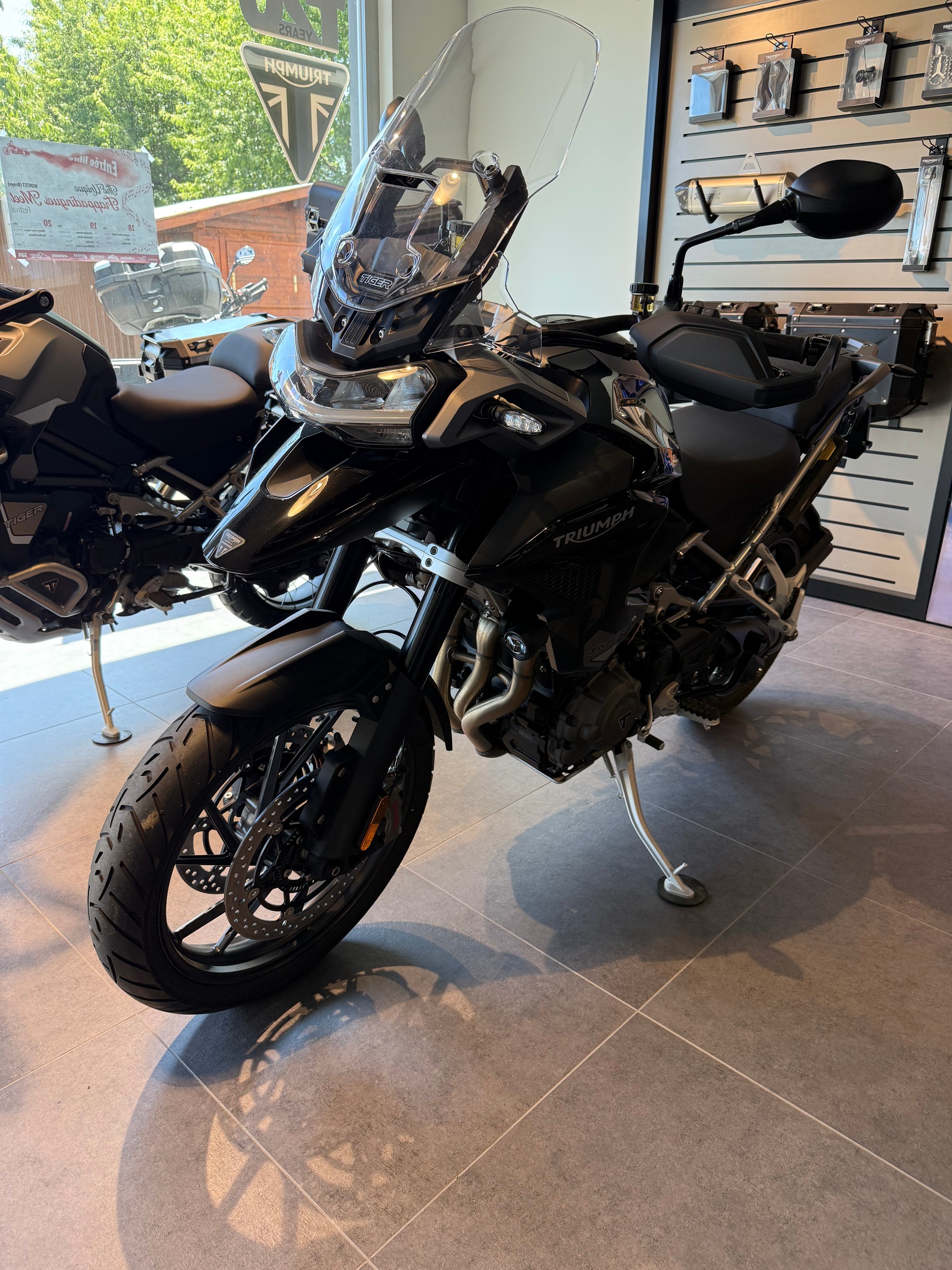 TRIUMPH Tiger 1200 GT Pro-image-2