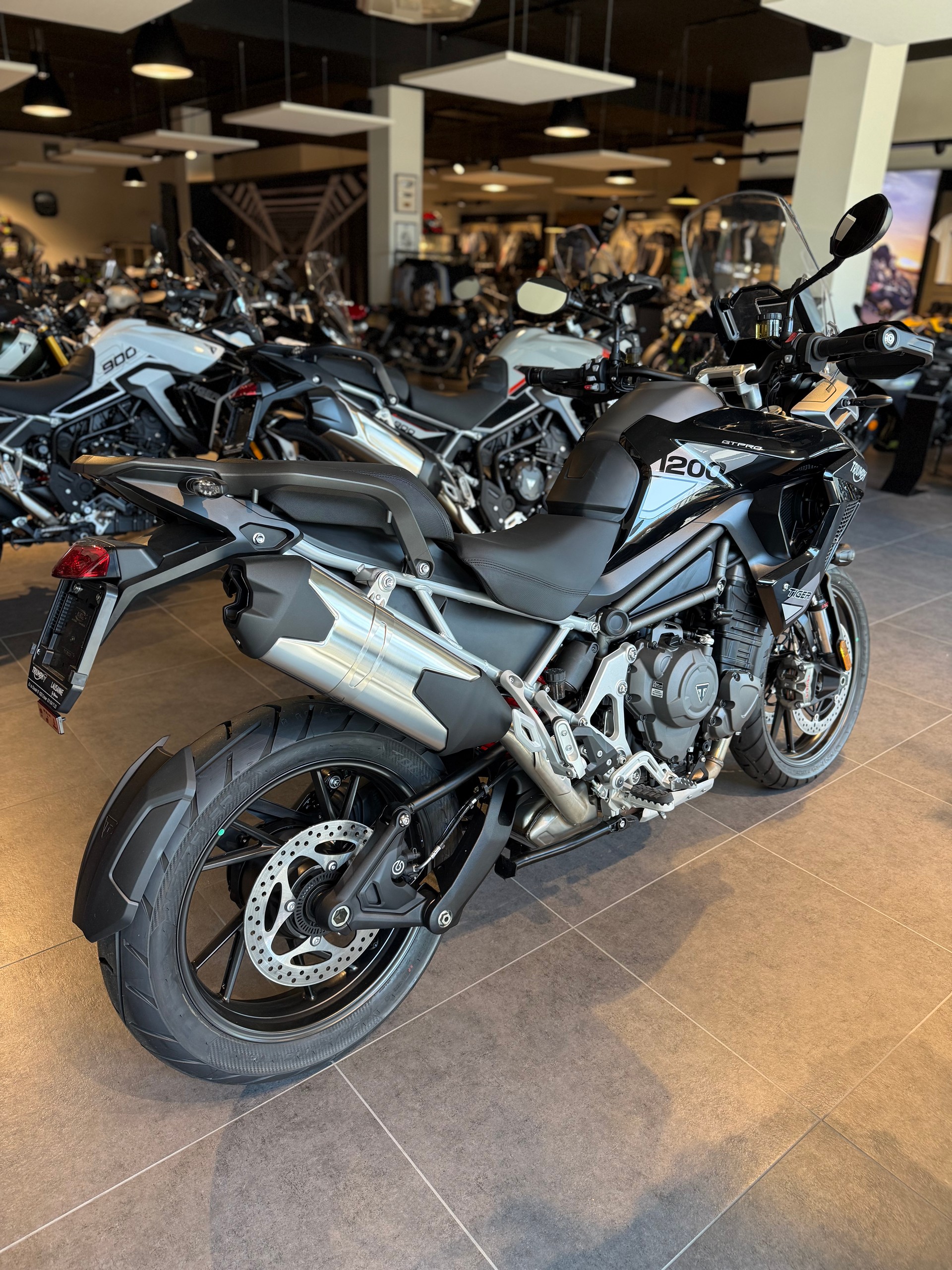 TRIUMPH Tiger 1200 GT Pro-image-3