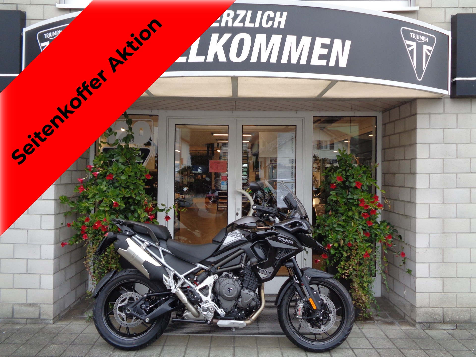 TRIUMPH Tiger 1200 GT Pro-image-0