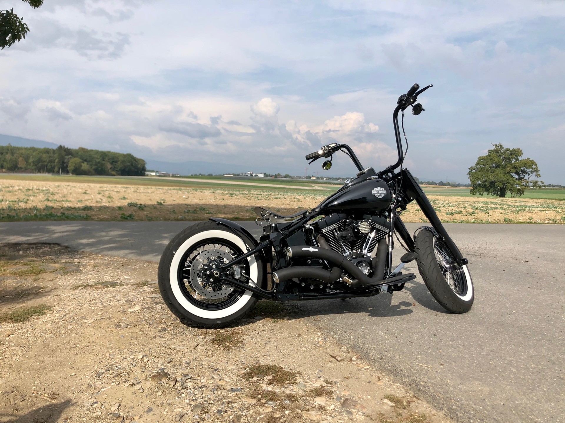 HARLEY-DAVIDSON FLSS Softail Slim S110 ABS-image-7
