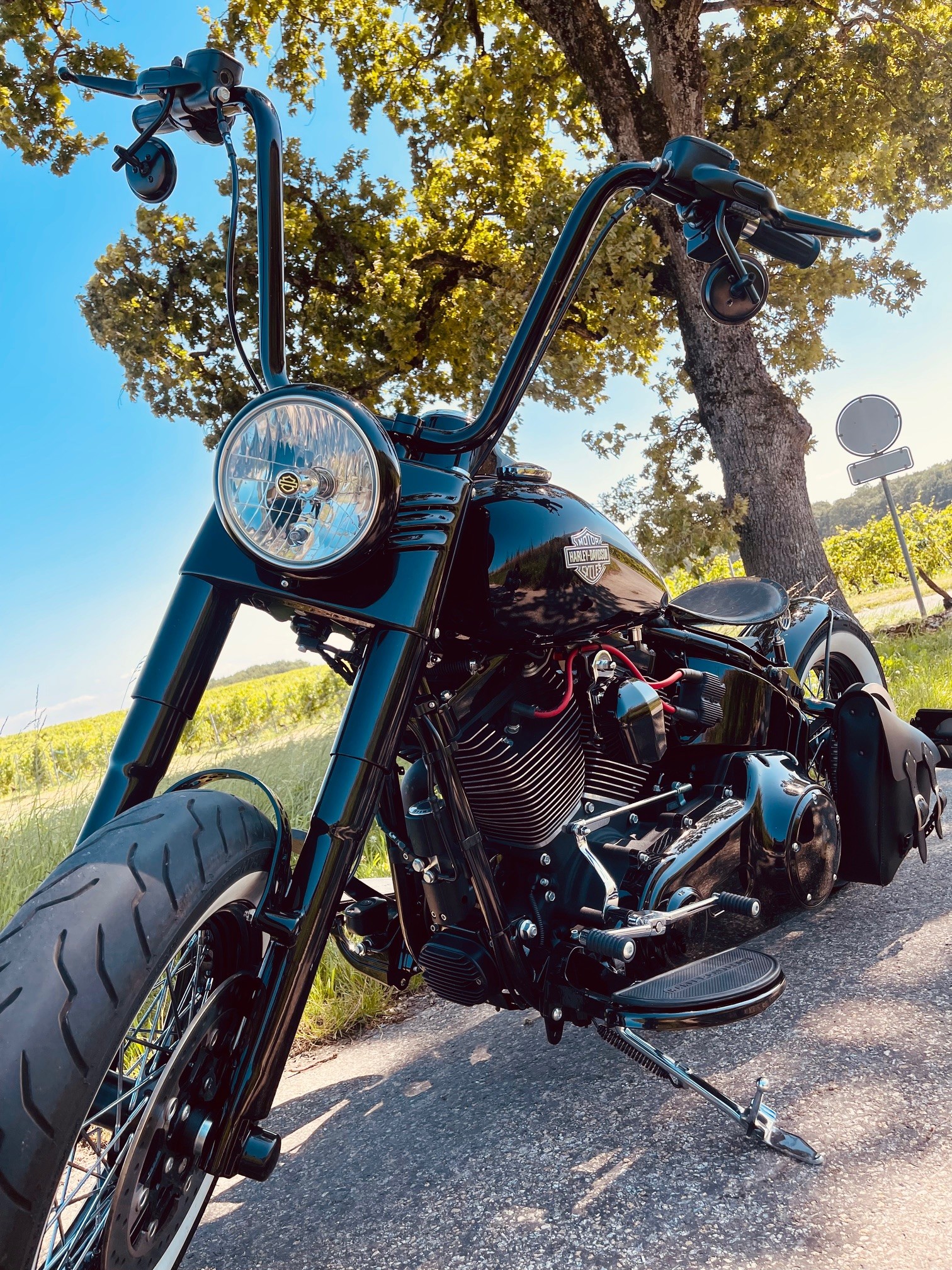 HARLEY-DAVIDSON FLSS Softail Slim S110 ABS-image-9