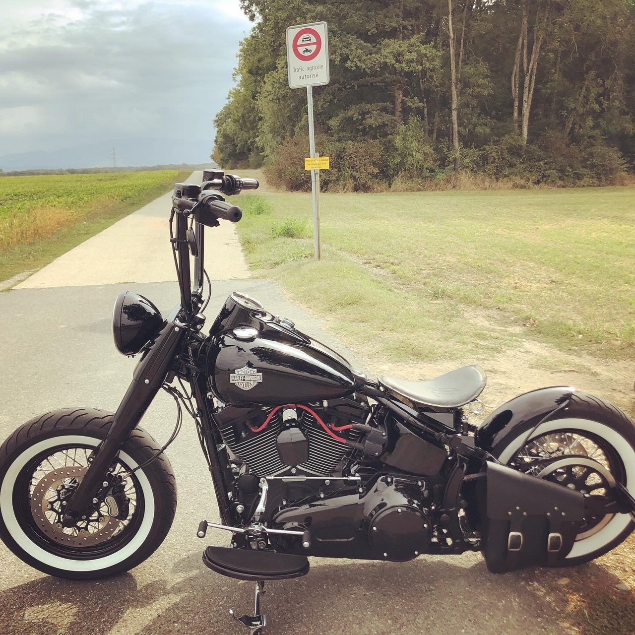 HARLEY-DAVIDSON FLSS Softail Slim S110 ABS-image-2