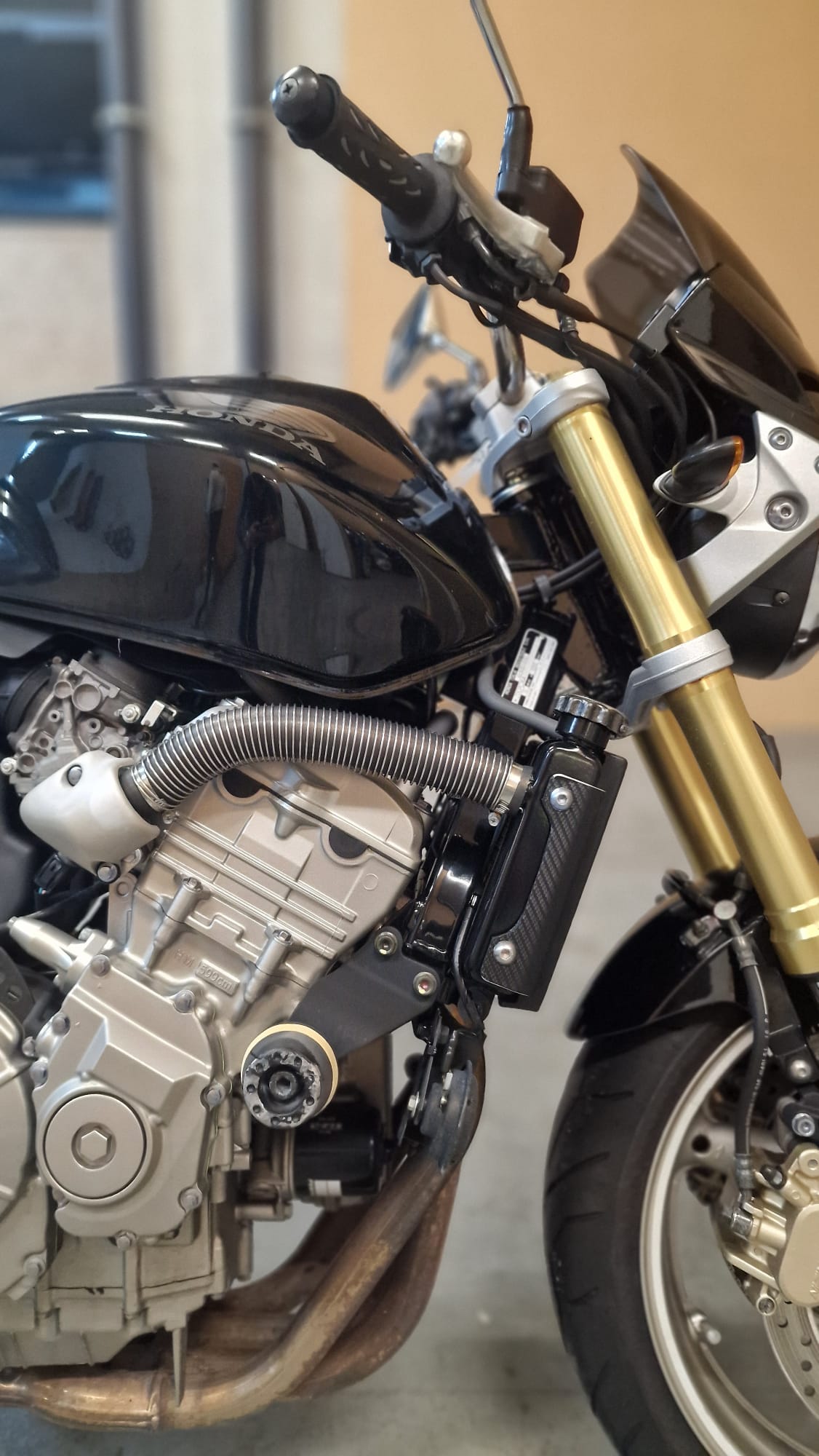 HONDA CB 600 F Hornet-showroom-element-2